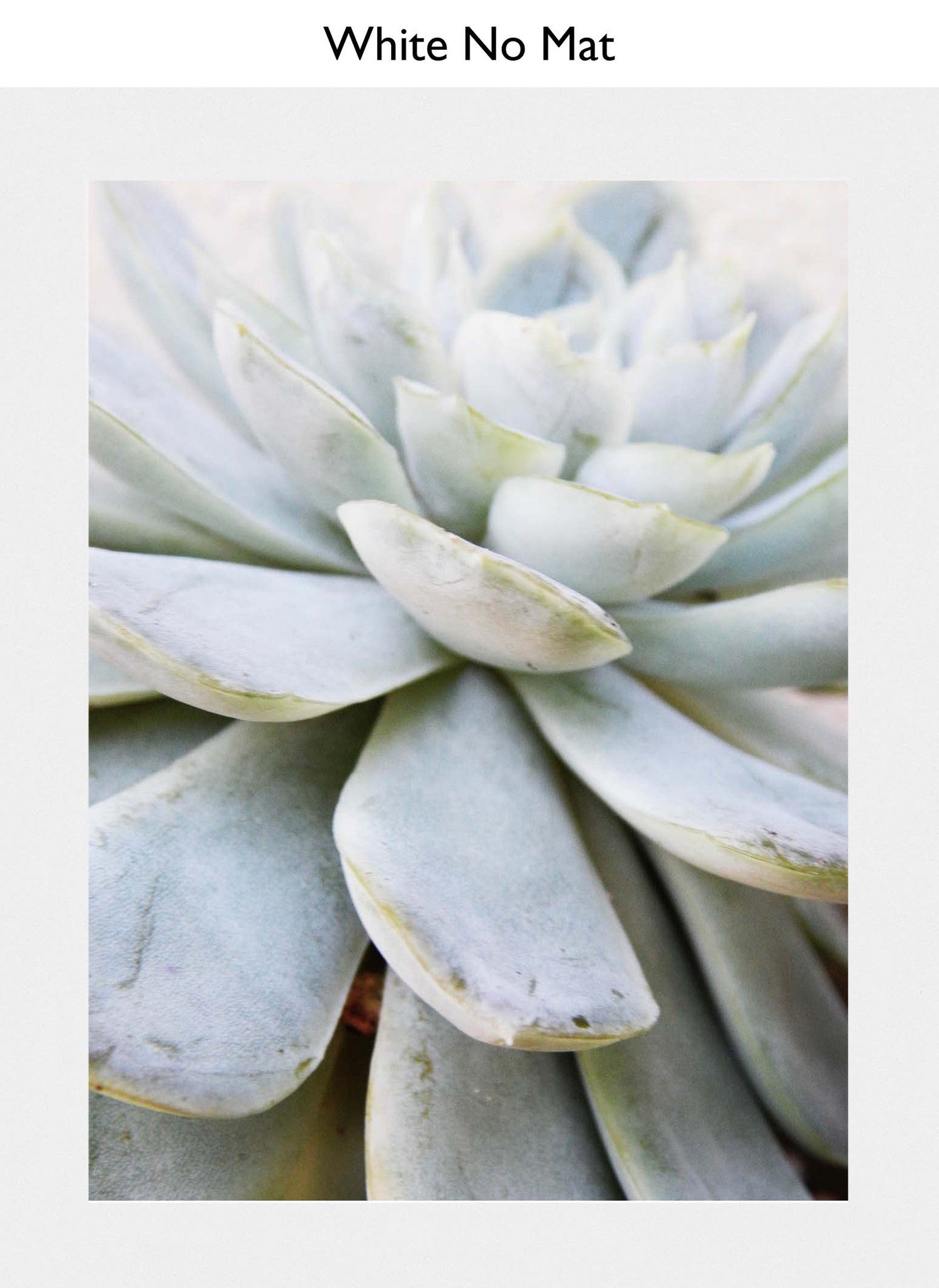 White No Mat