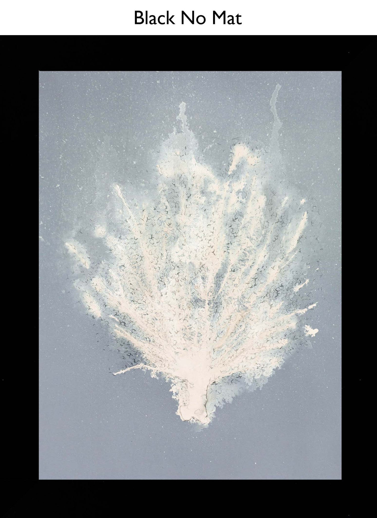 Black No Mat
