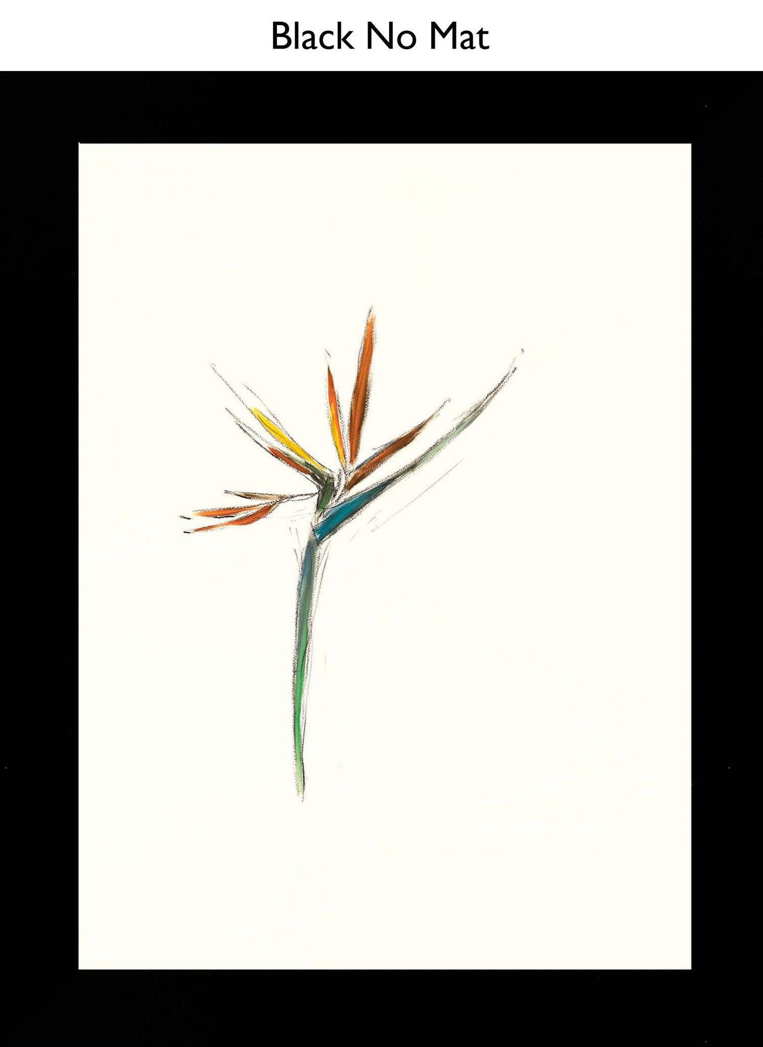 Black No Mat