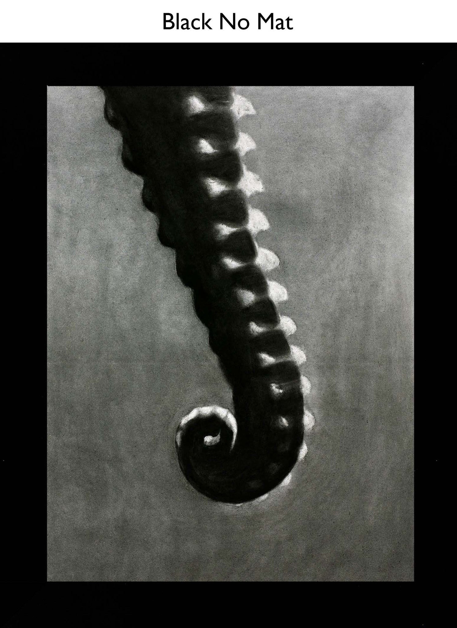 Black No Mat