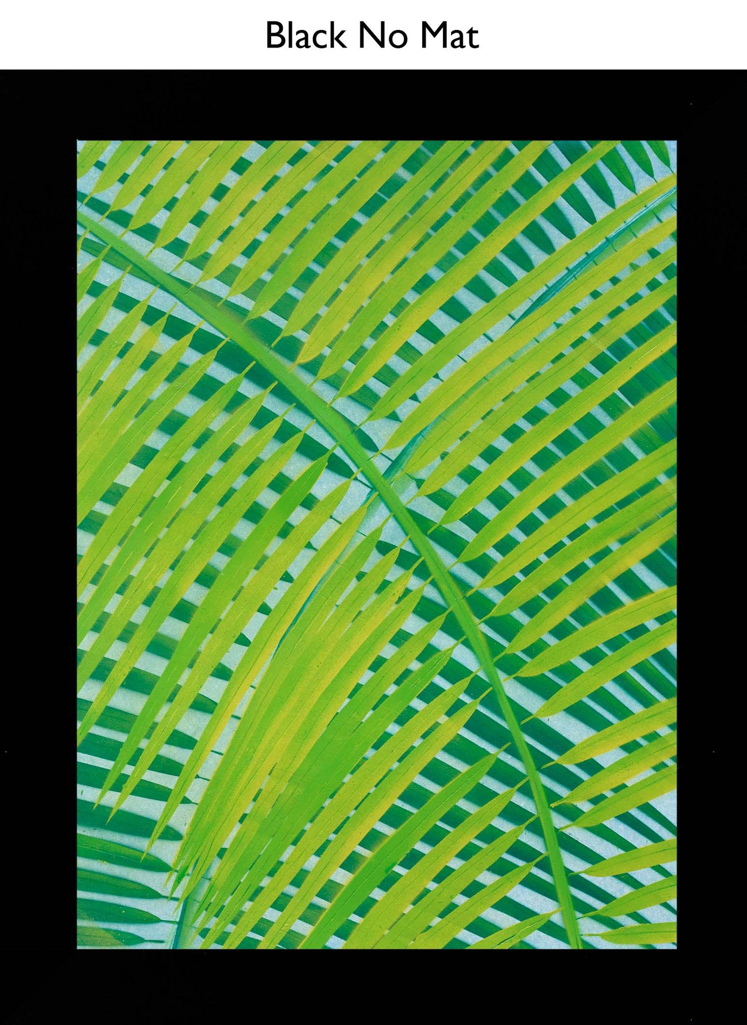 Black No Mat