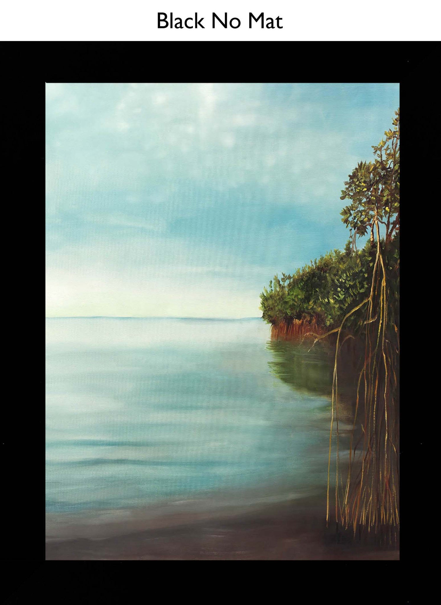 Black No Mat