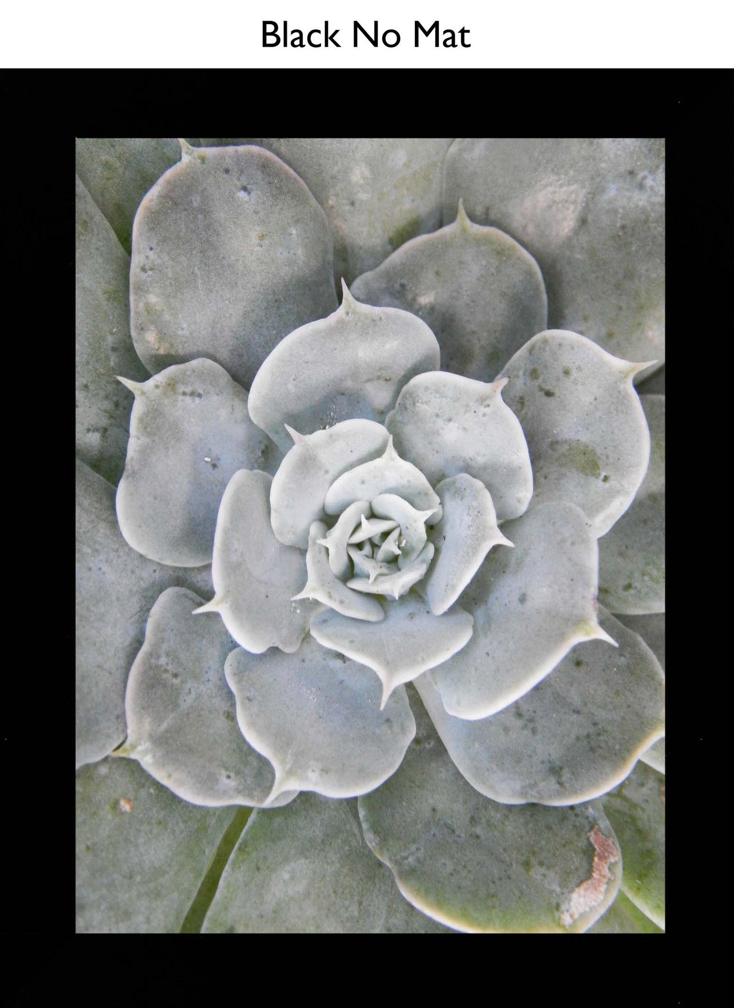 Black No Mat