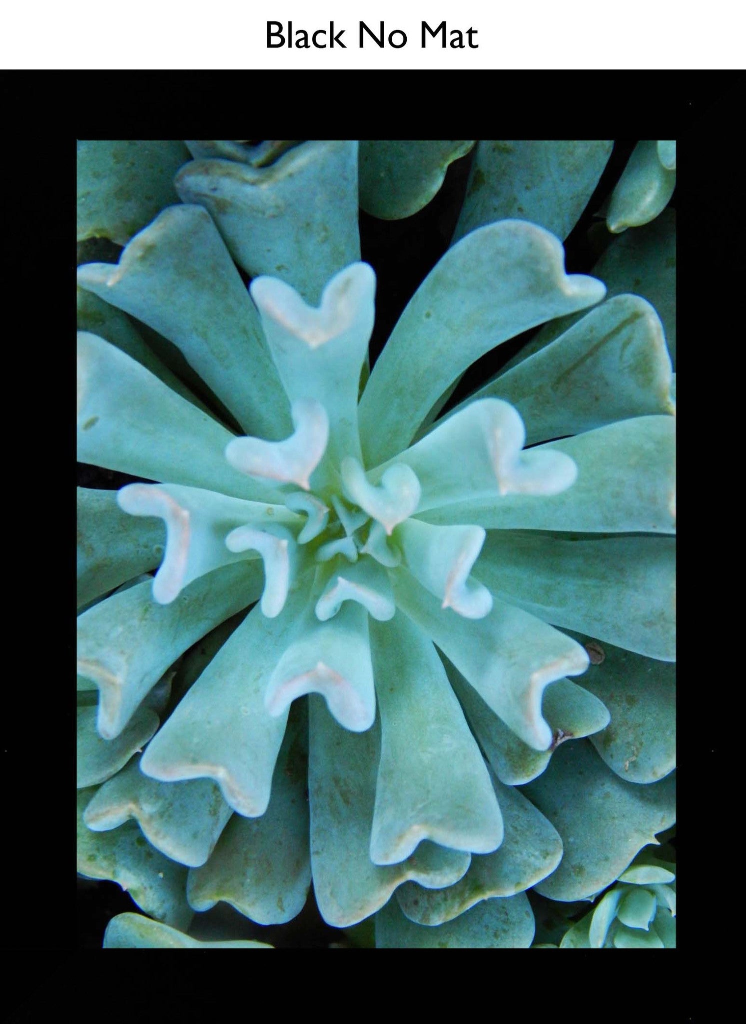 Black No Mat