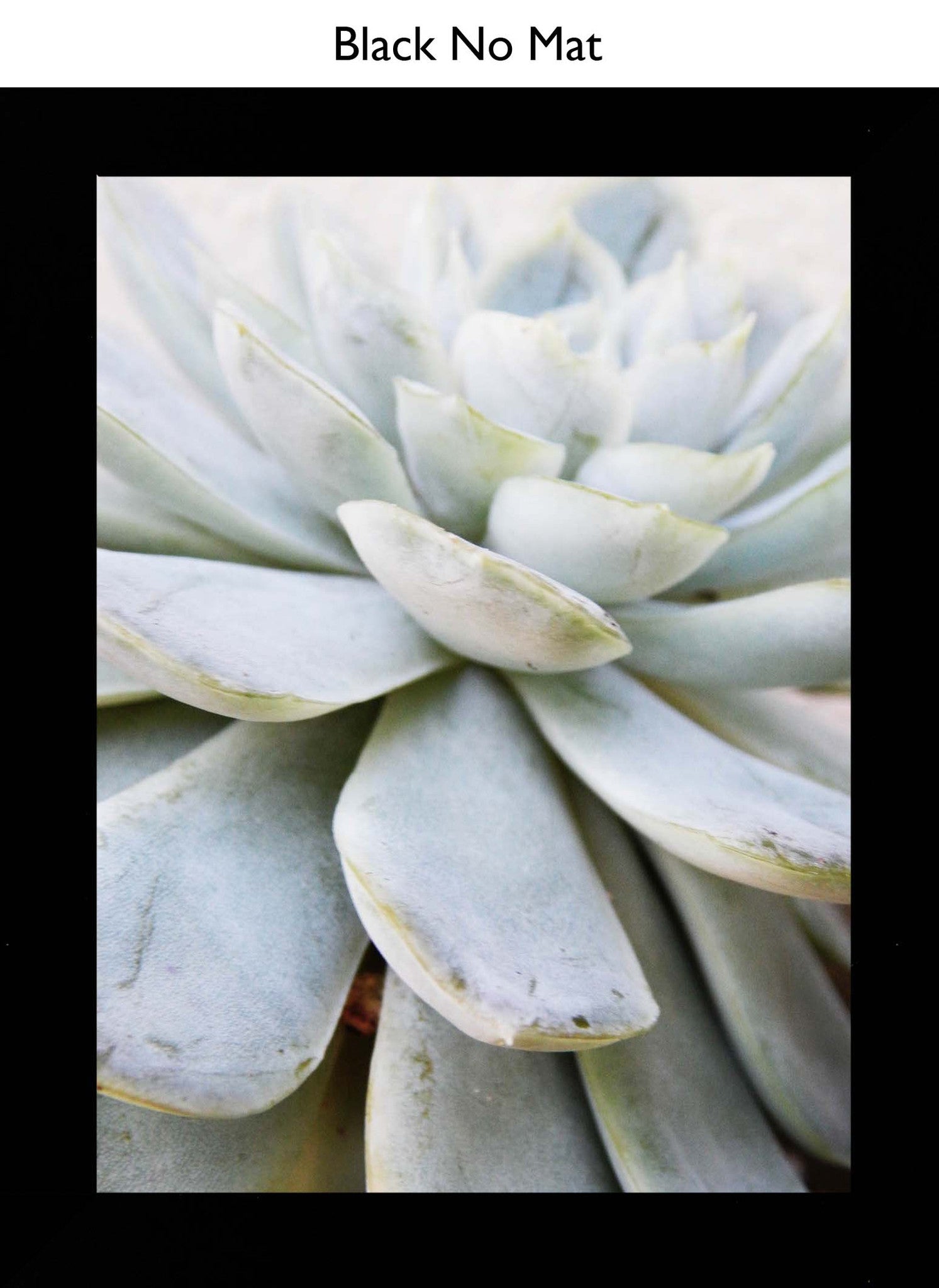 Black No Mat