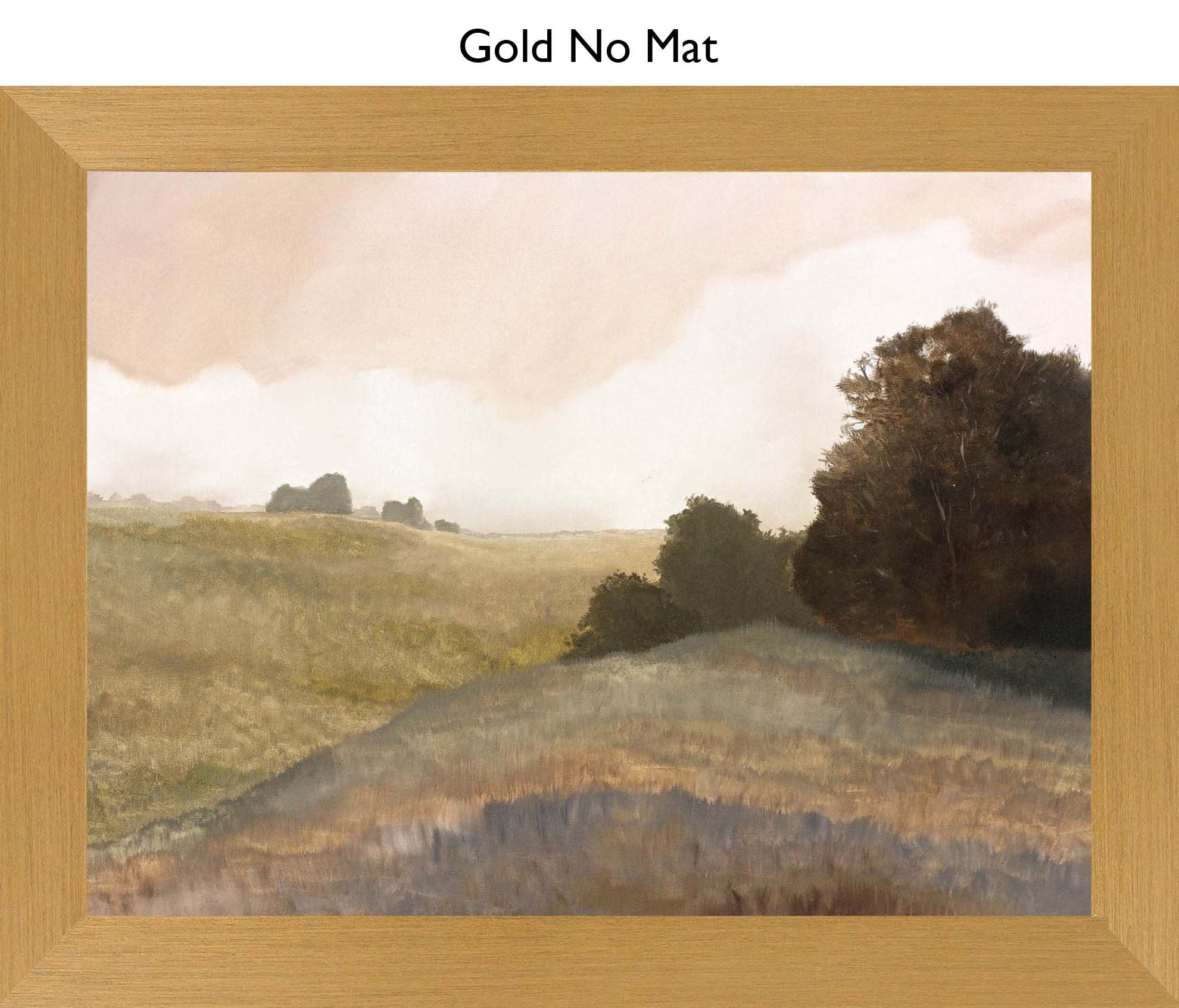 Gold No Mat