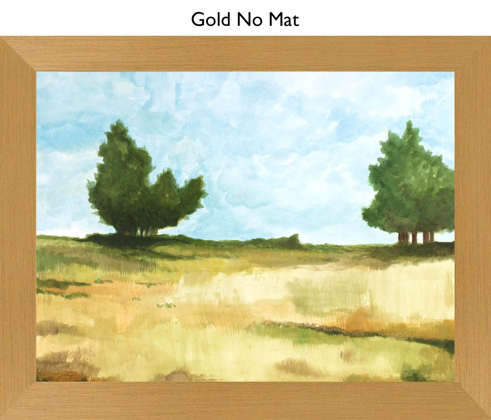 Gold No Mat