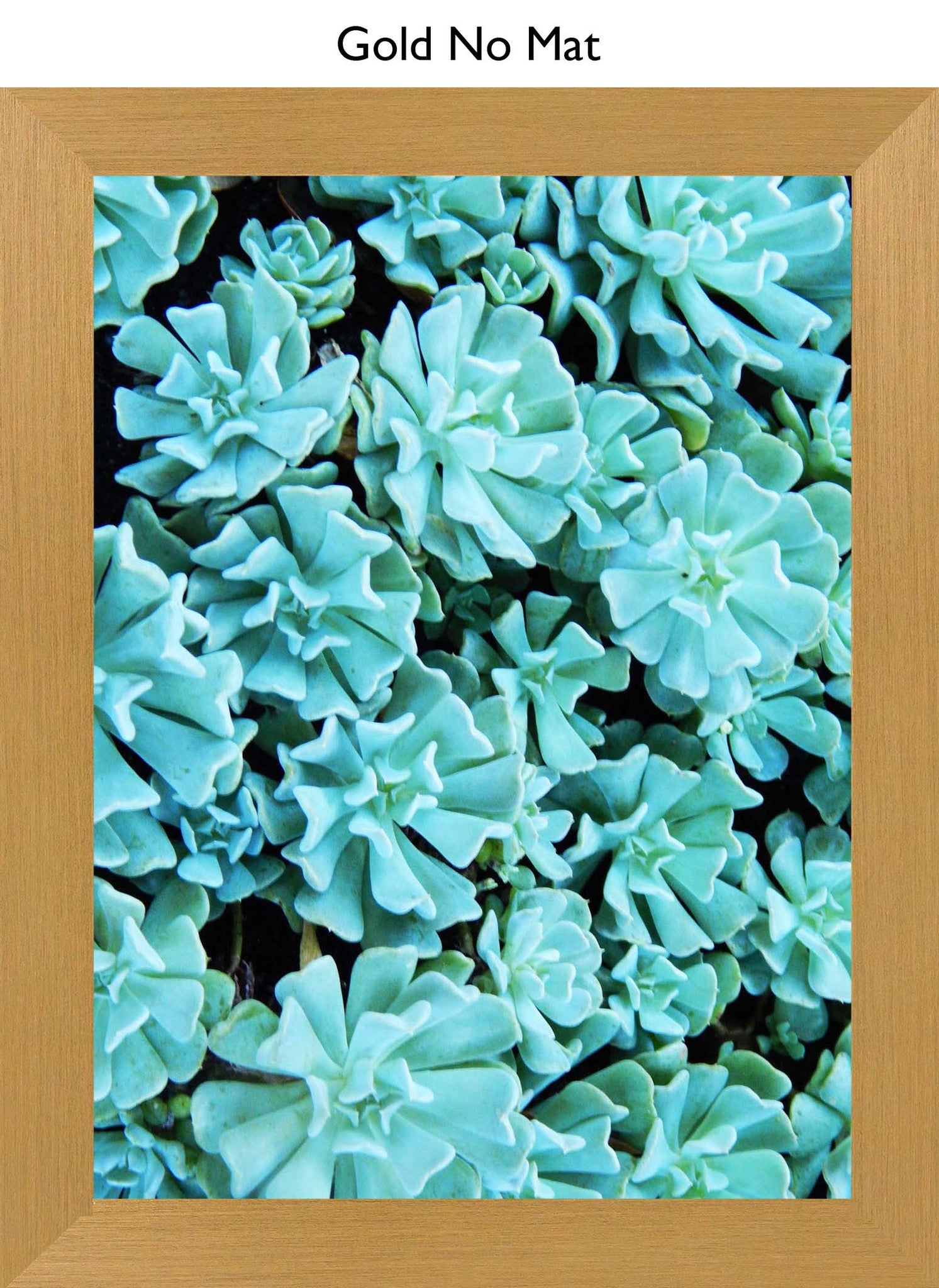 Gold No Mat