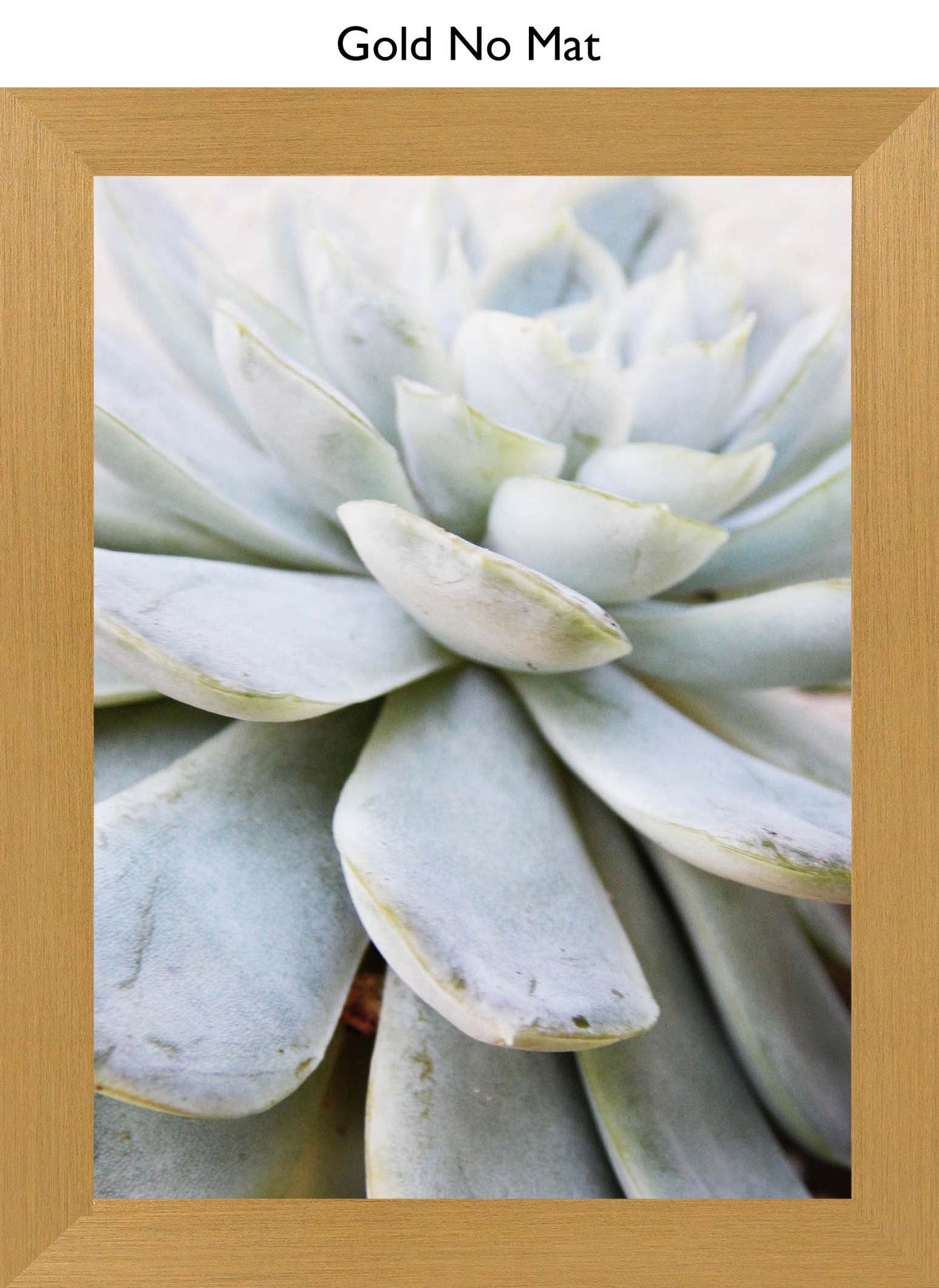 Gold No Mat