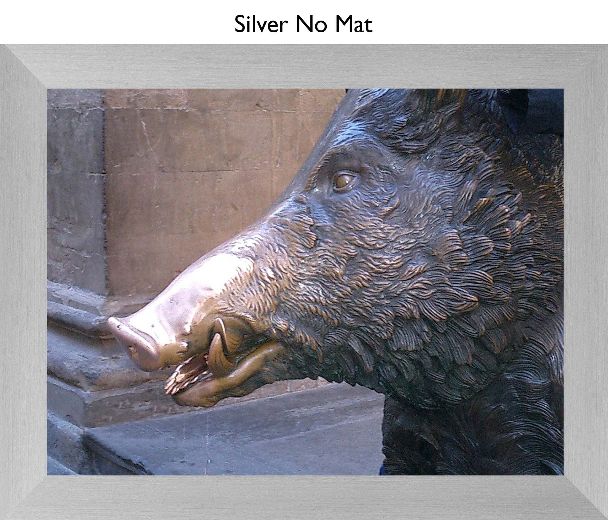 Silver No Mat