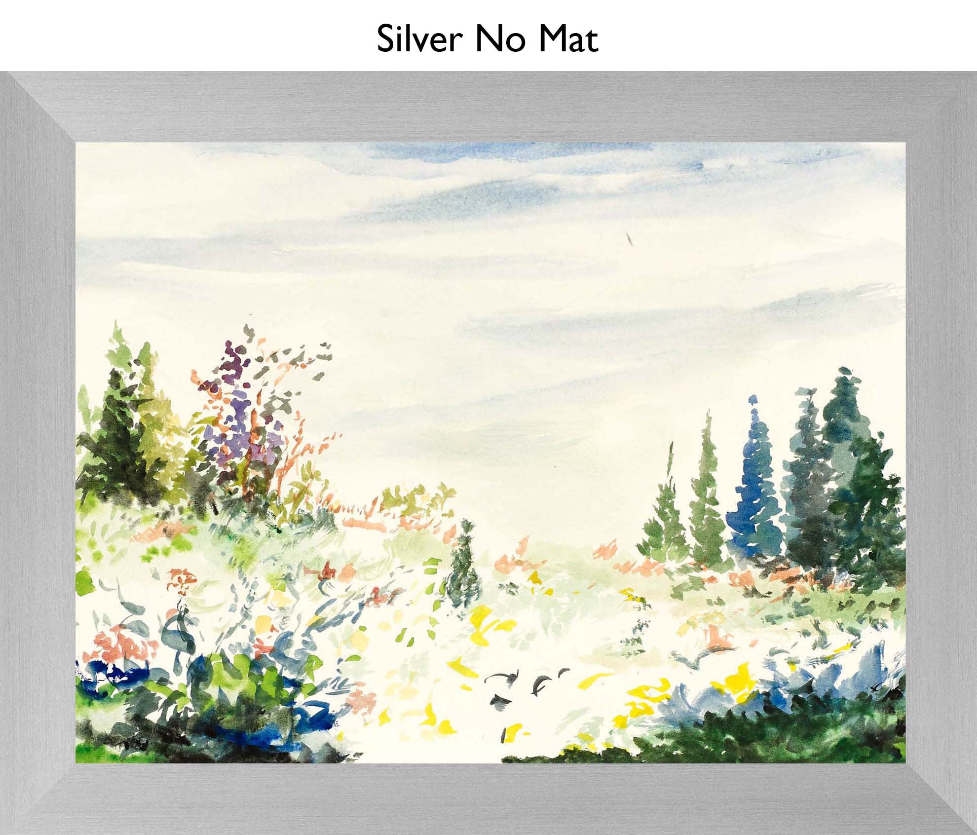 Silver No Mat