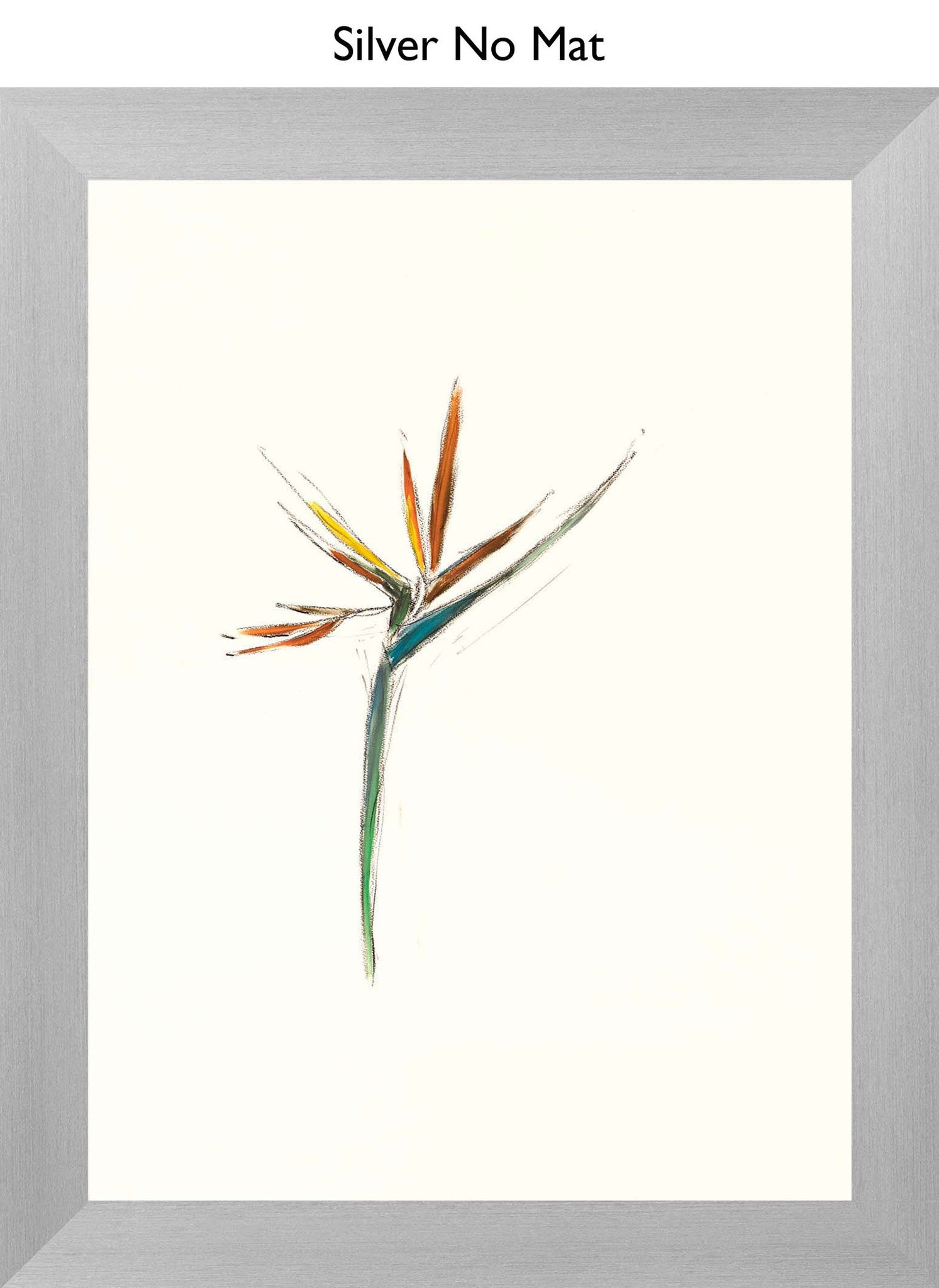 Silver No Mat