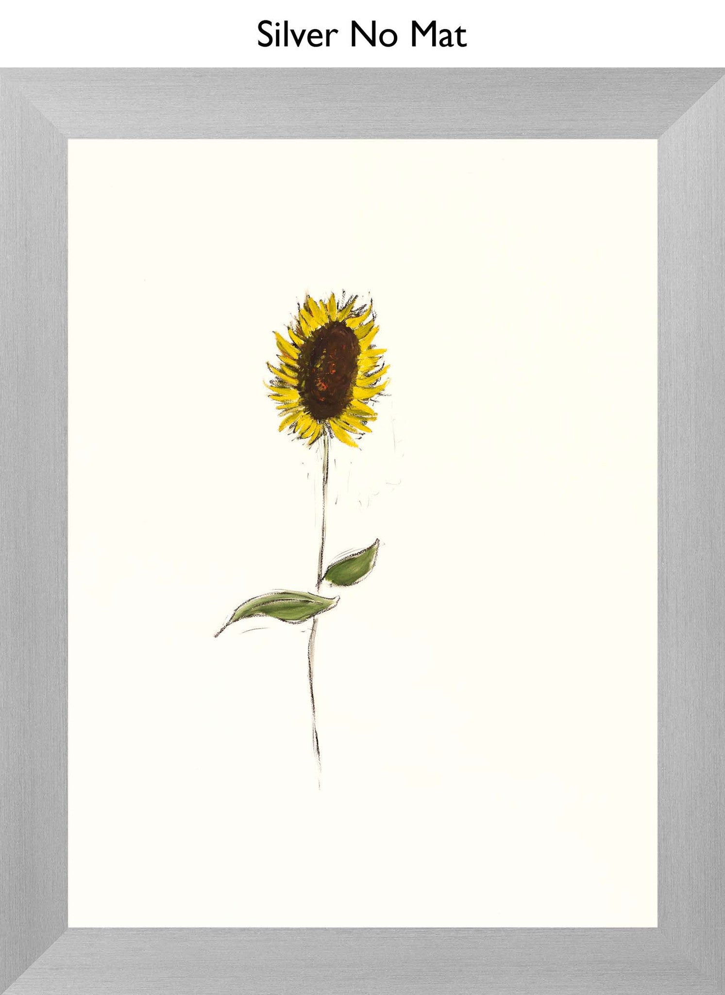 Silver No Mat