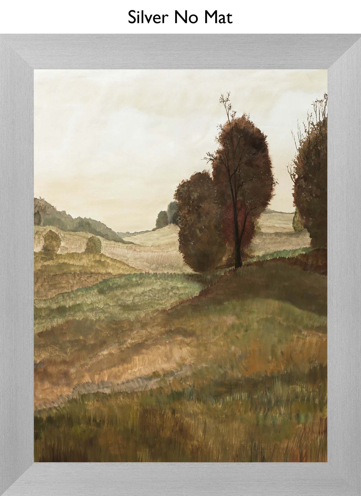Silver No Mat