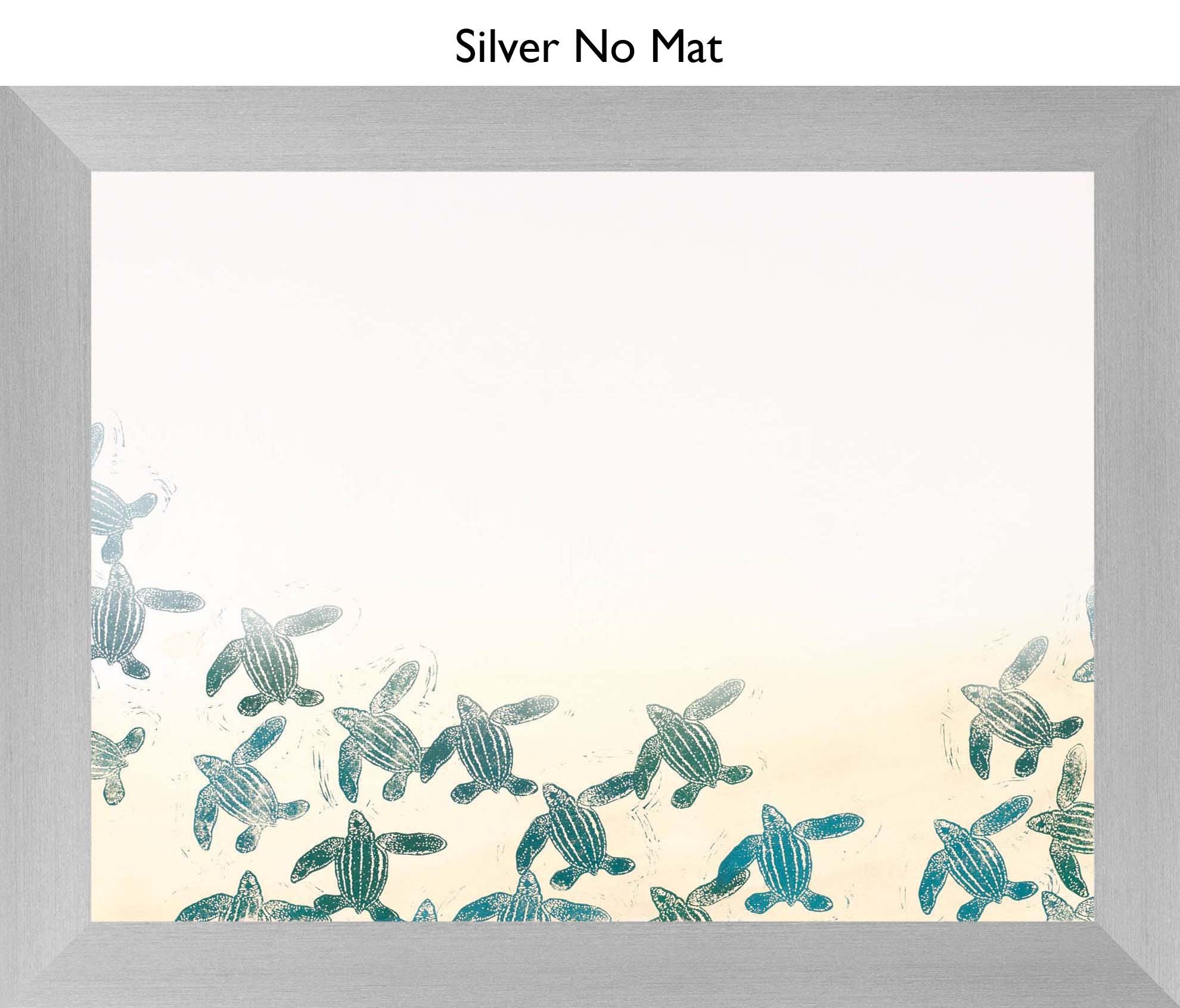 Silver No Mat