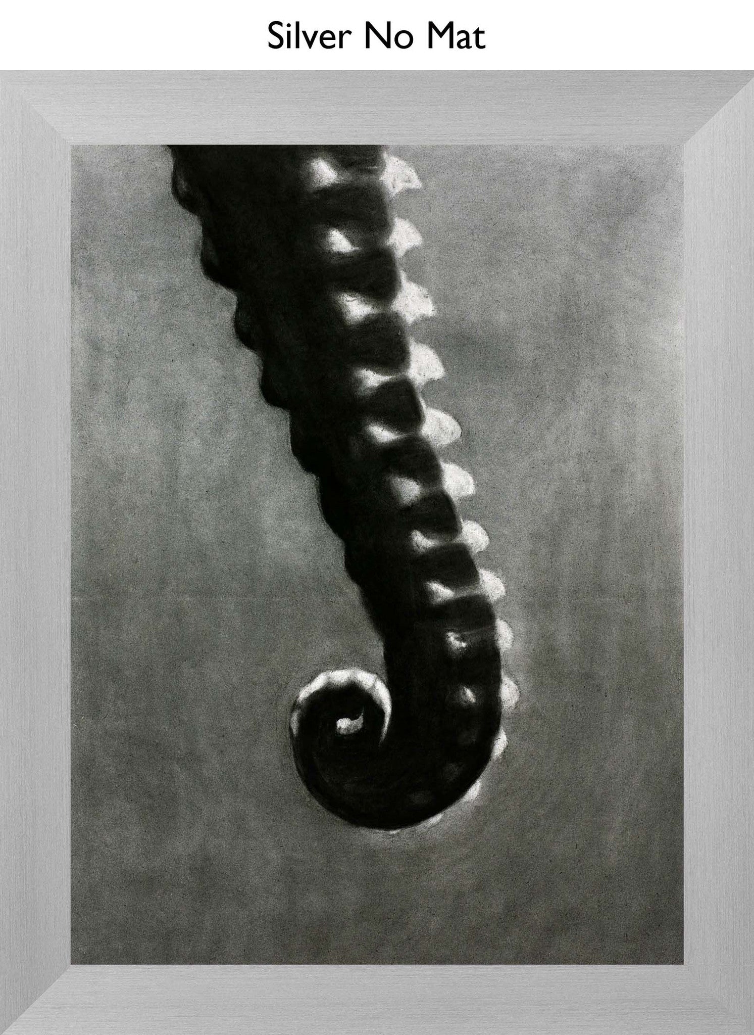 Silver No Mat
