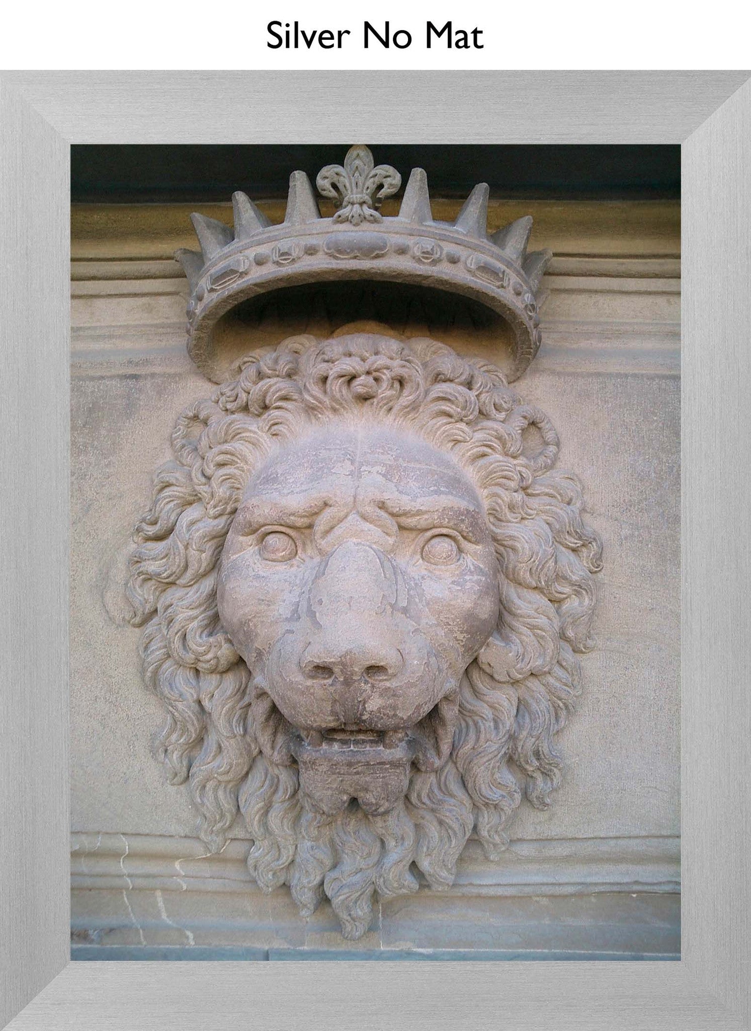 Silver No Mat