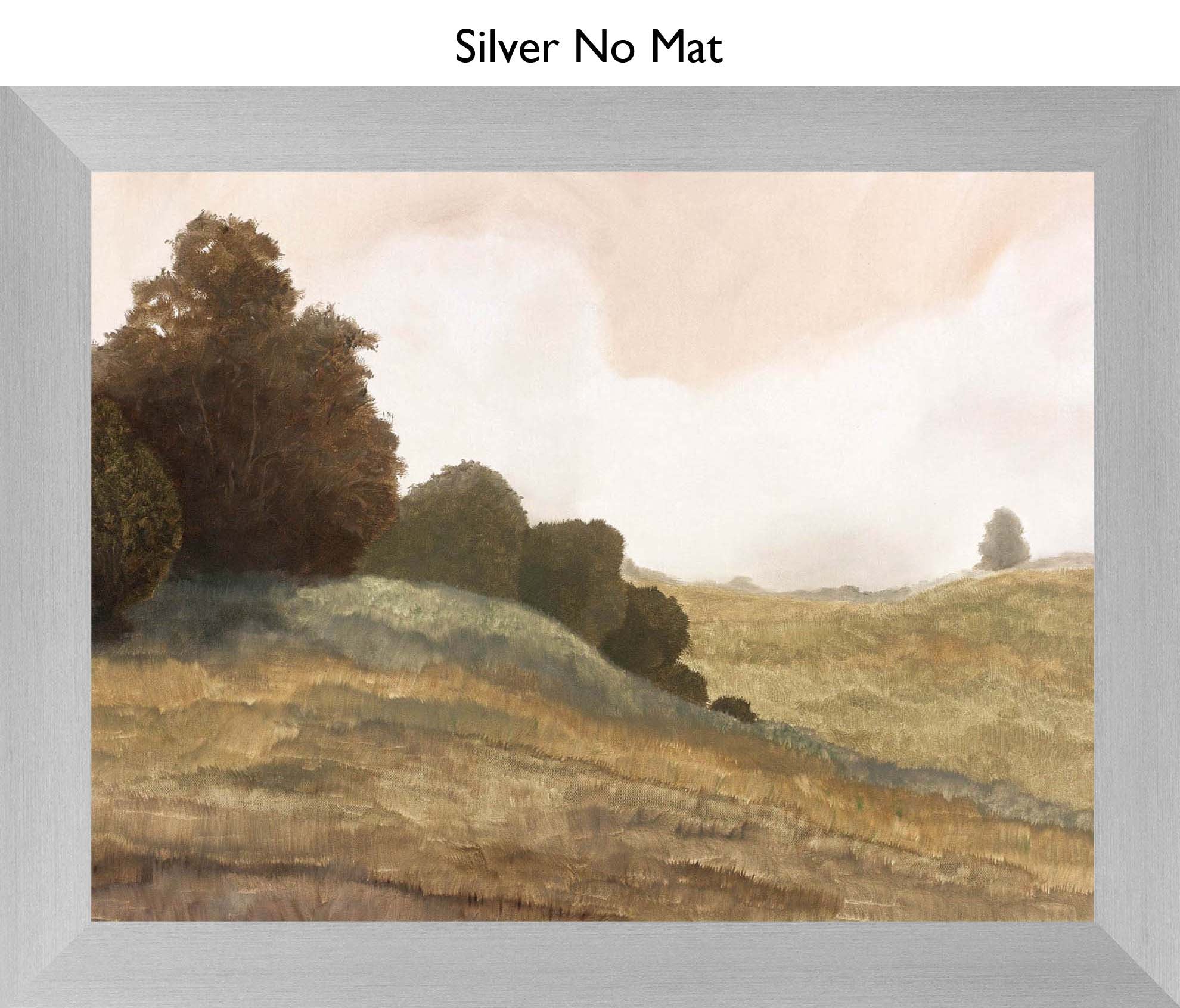 Silver No Mat