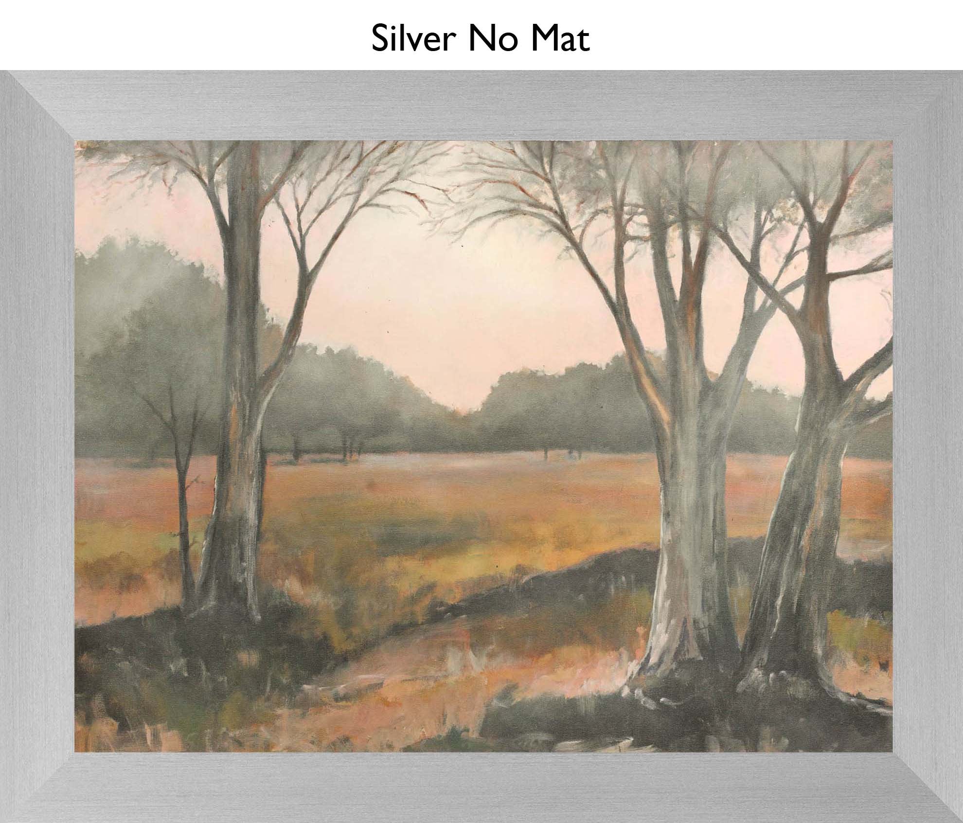 Silver No Mat