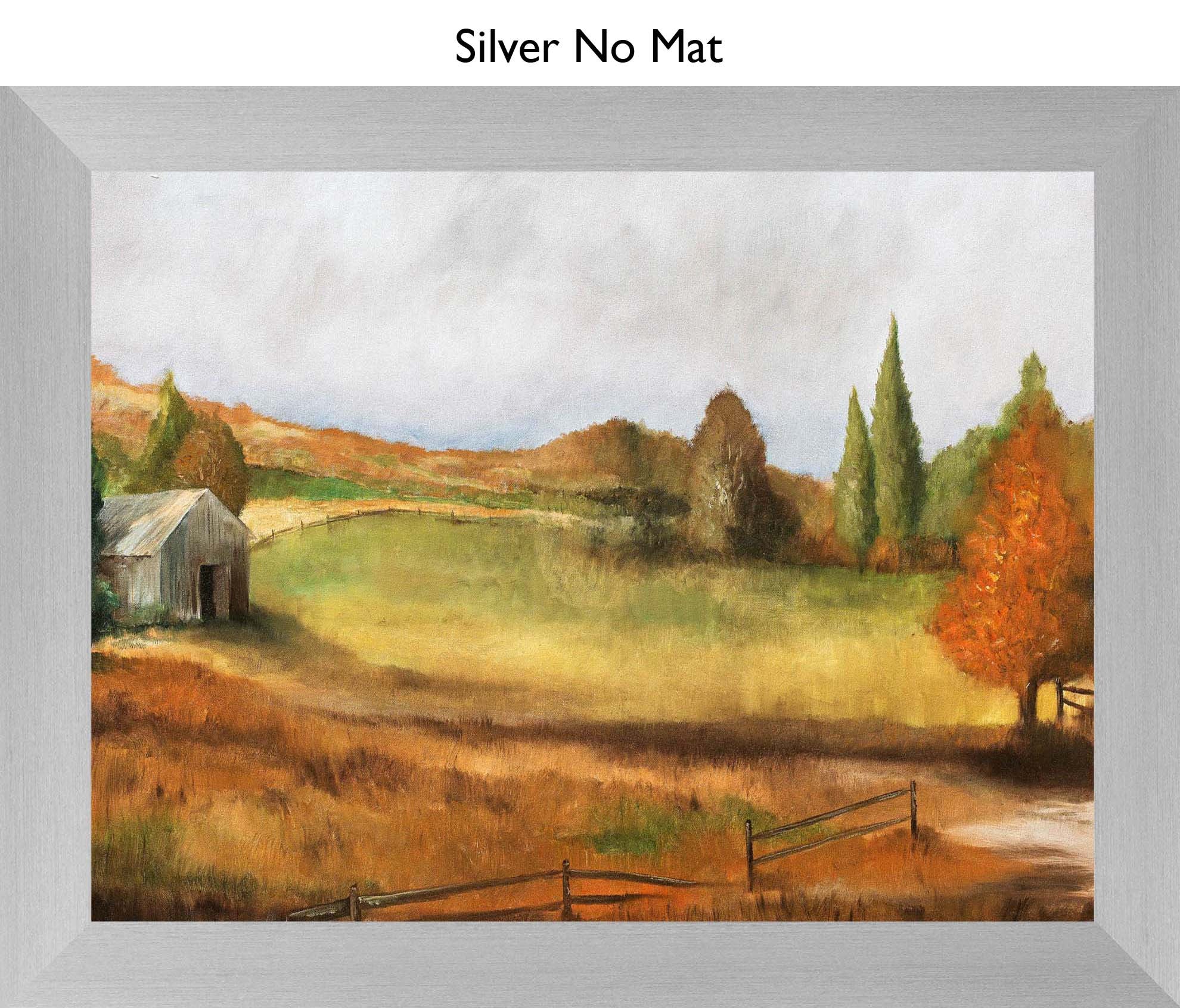 Silver No Mat