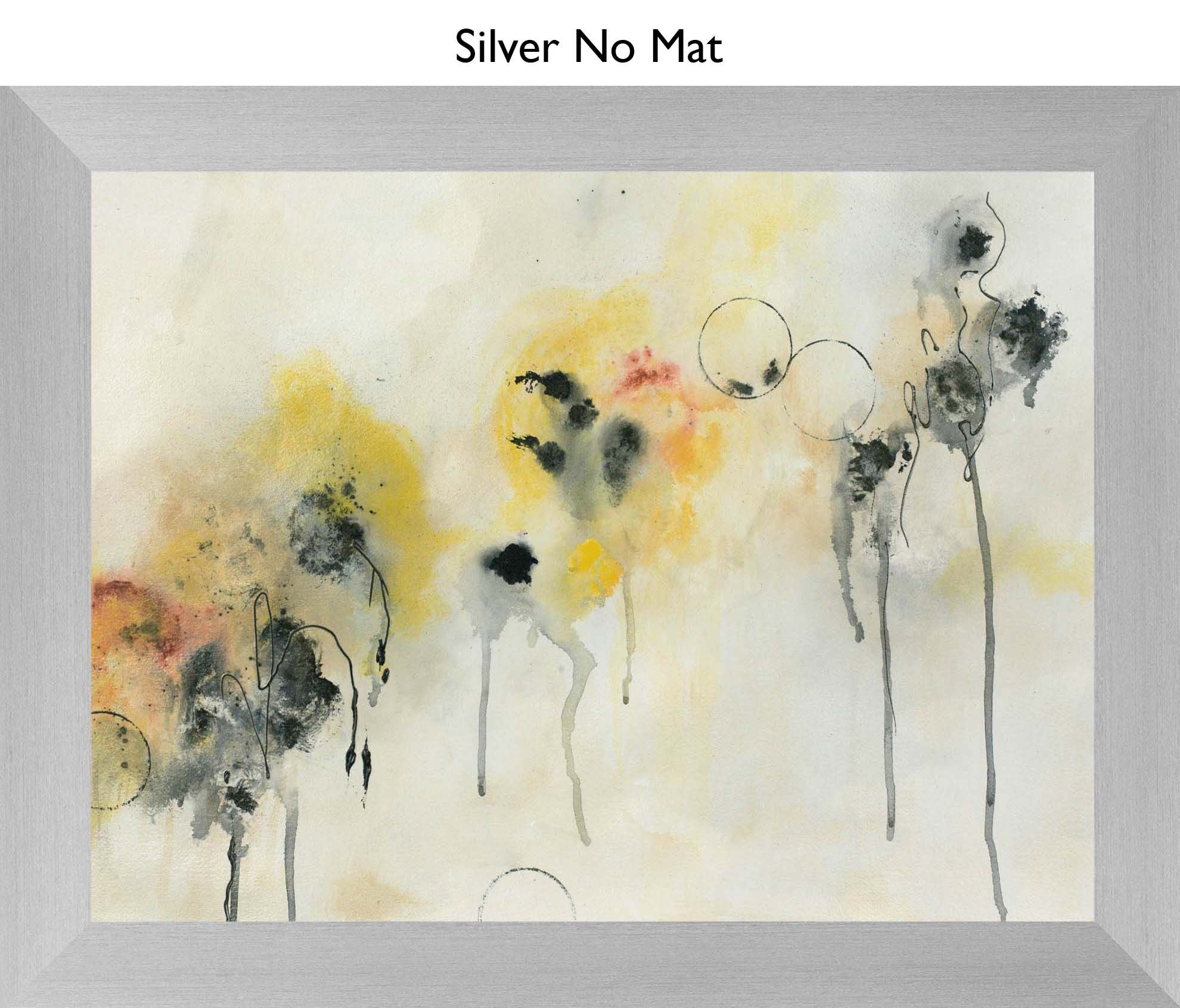 Silver No Mat