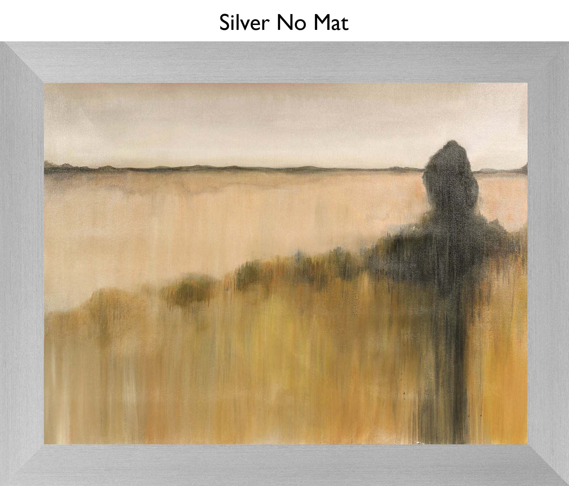 Silver No Mat