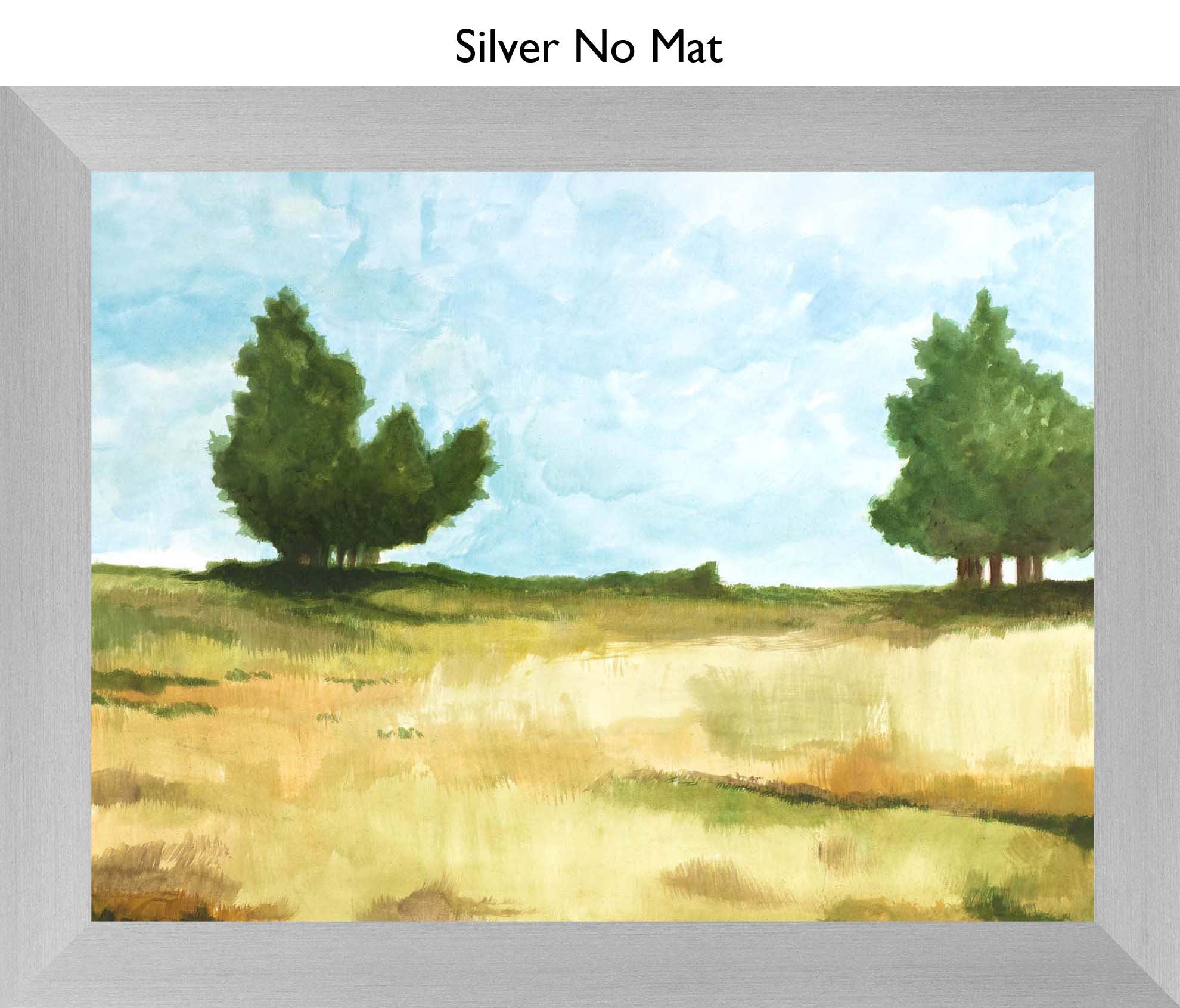 Silver No Mat
