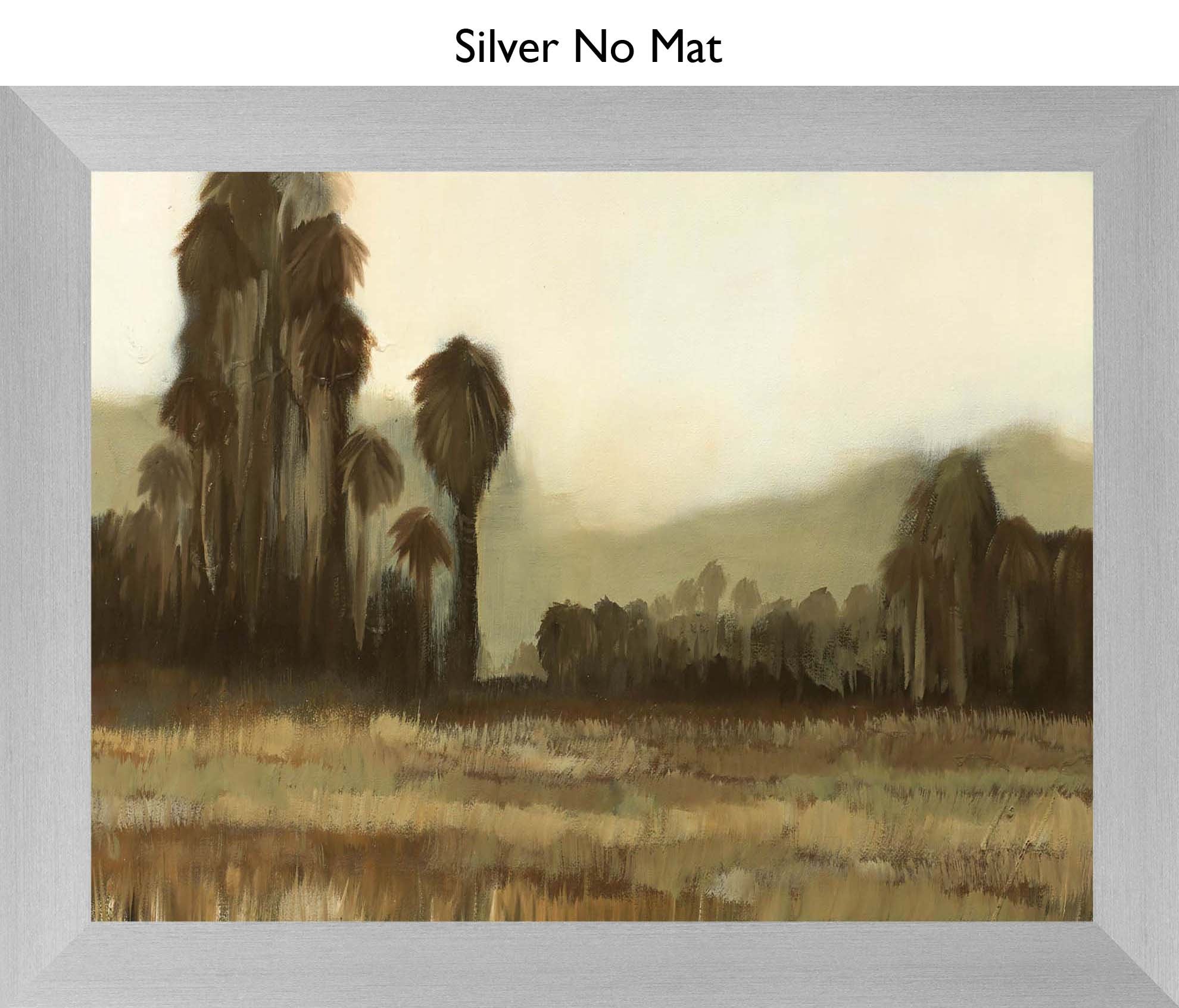 Silver No Mat