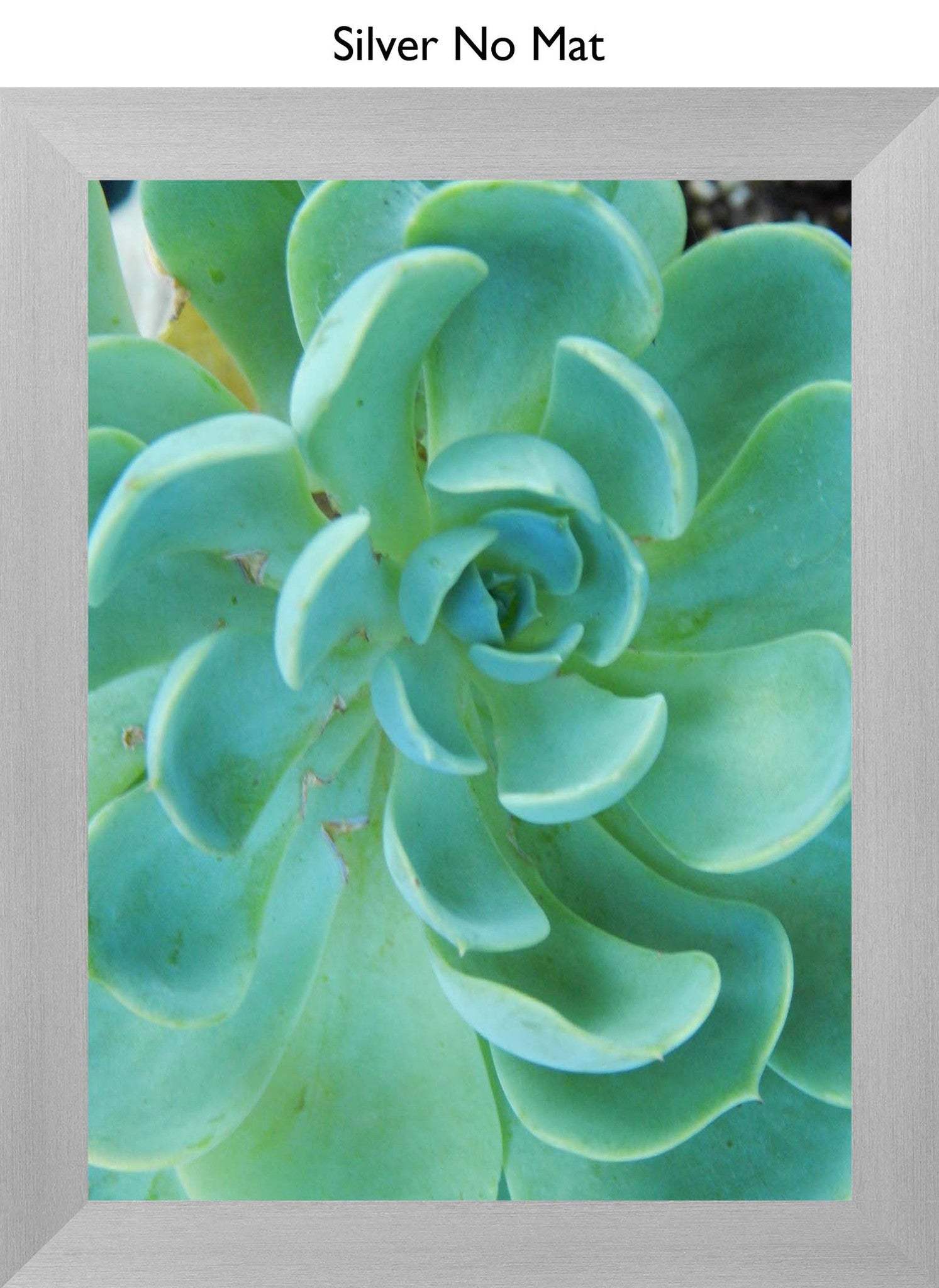 Silver No Mat
