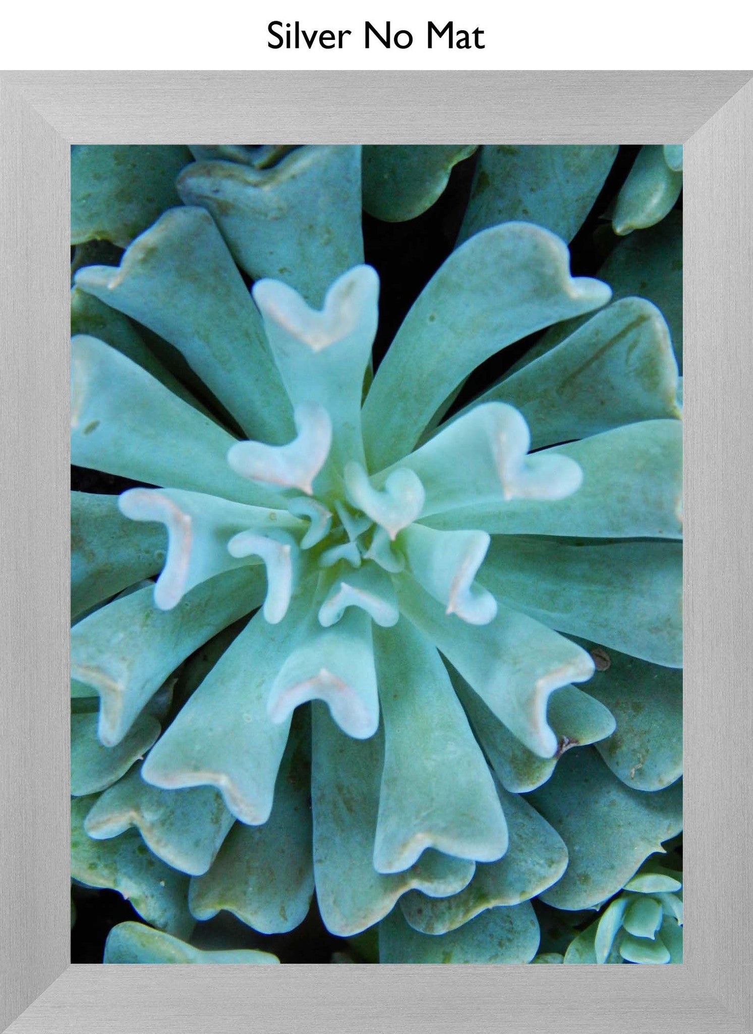 Silver No Mat