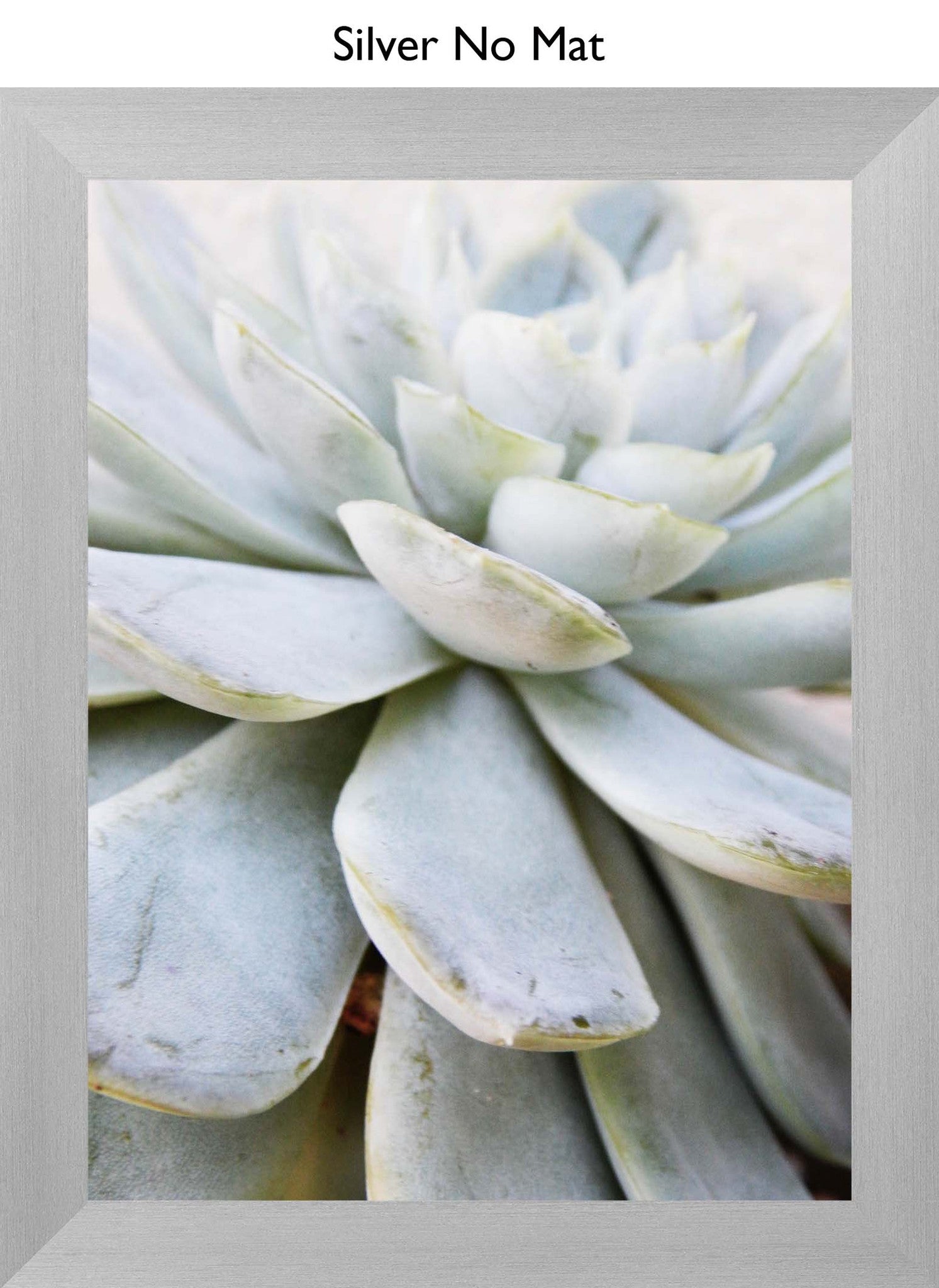 Silver No Mat