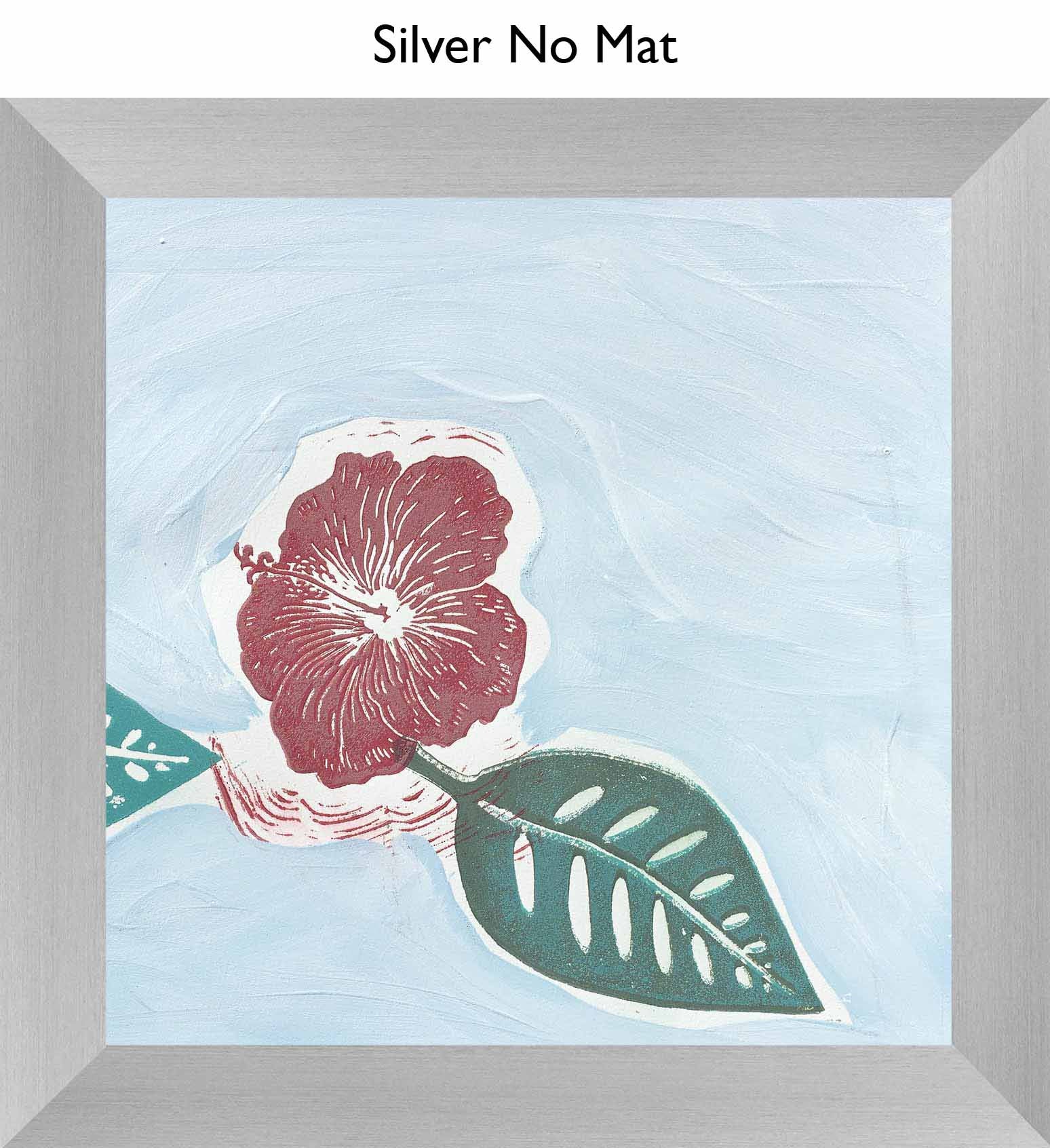 Silver No Mat