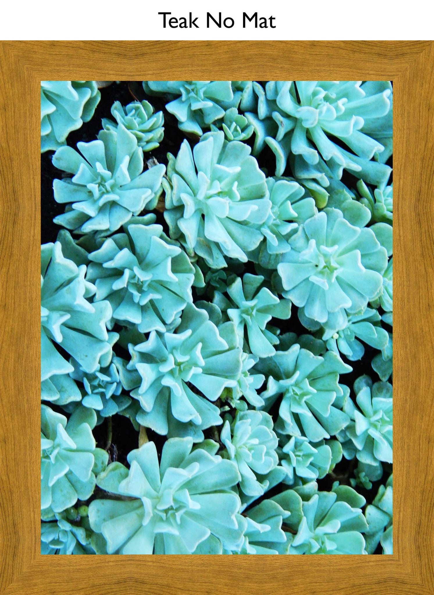 Teak No Mat