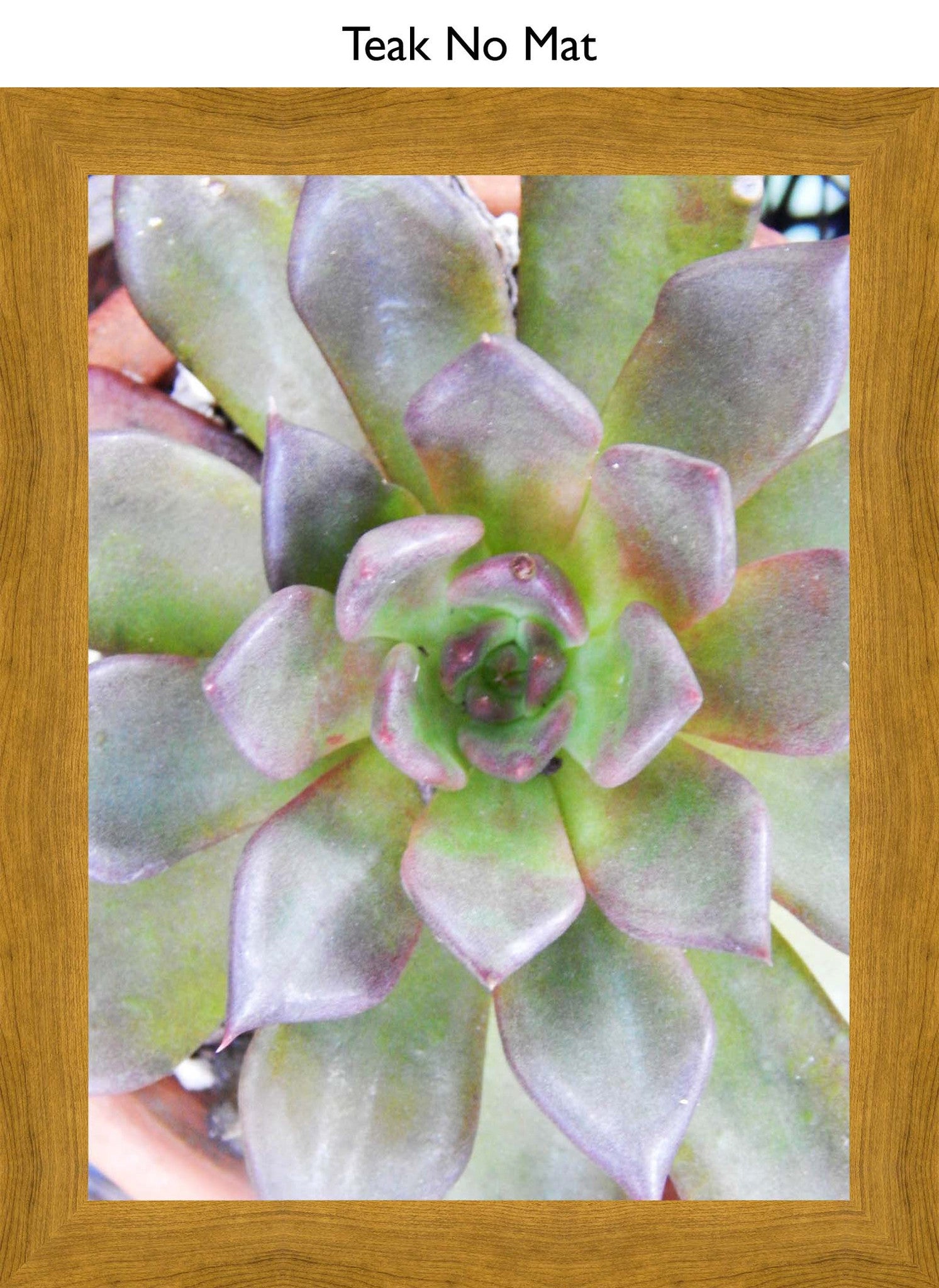 Teak No Mat