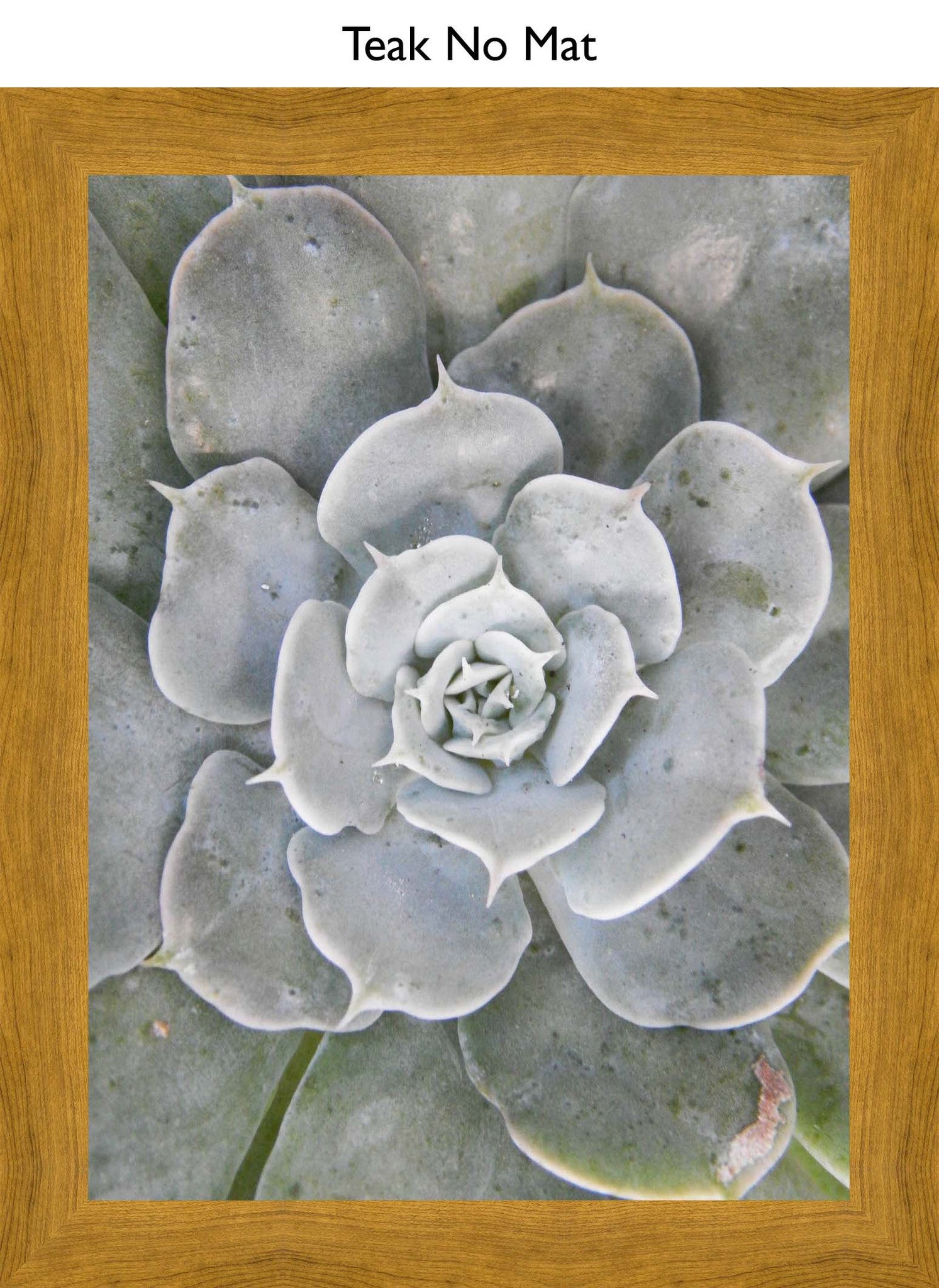 Teak No Mat