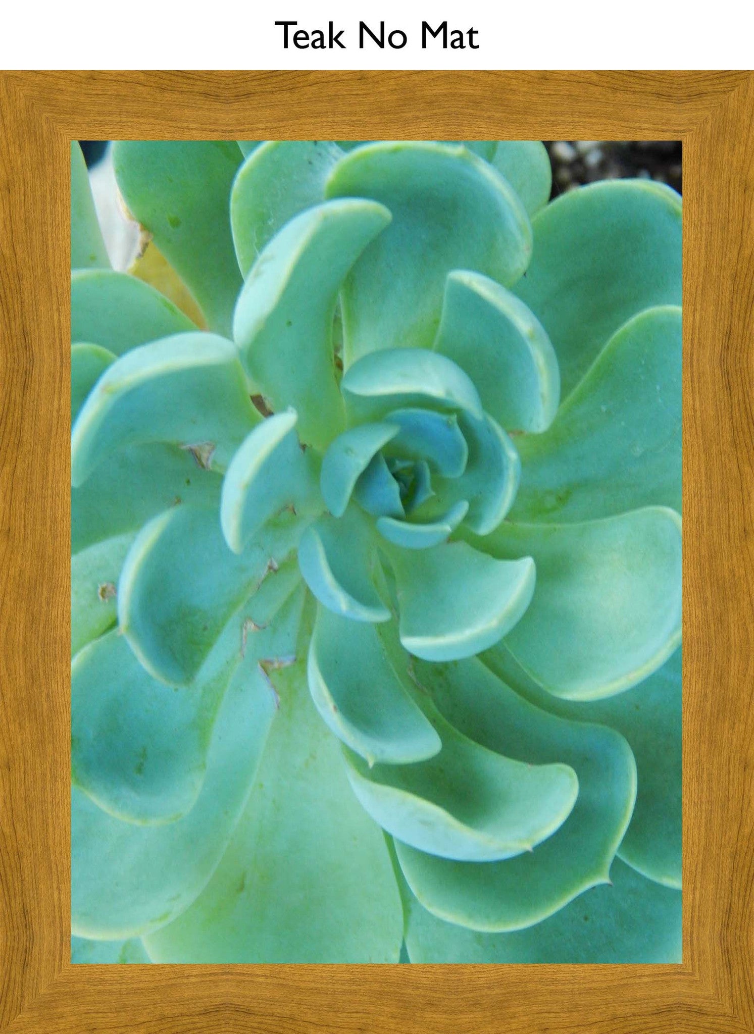 Teak No Mat