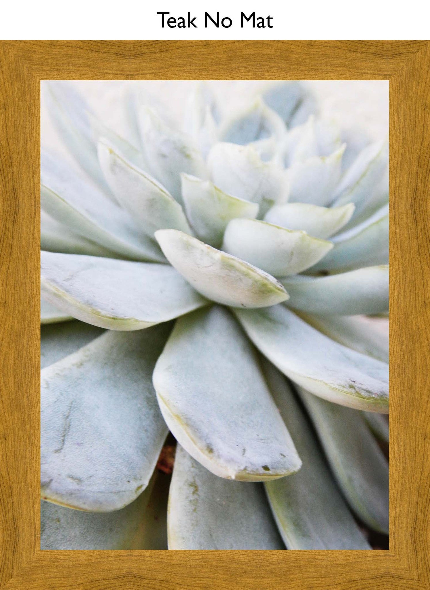 Teak No Mat