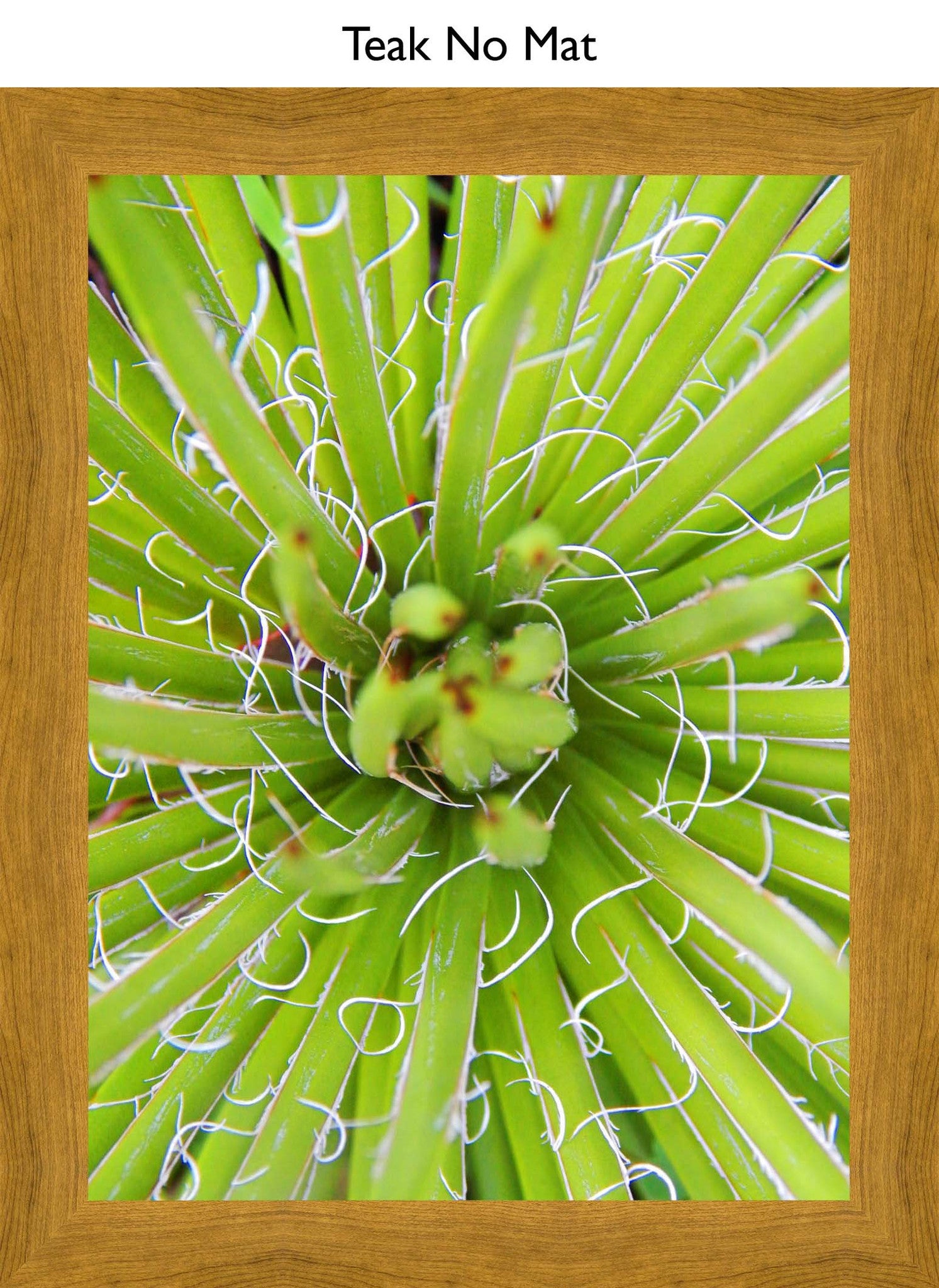 Teak No Mat