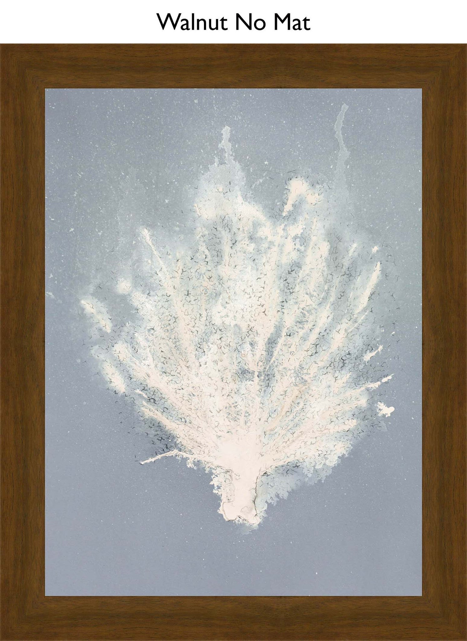 Walnut No Mat