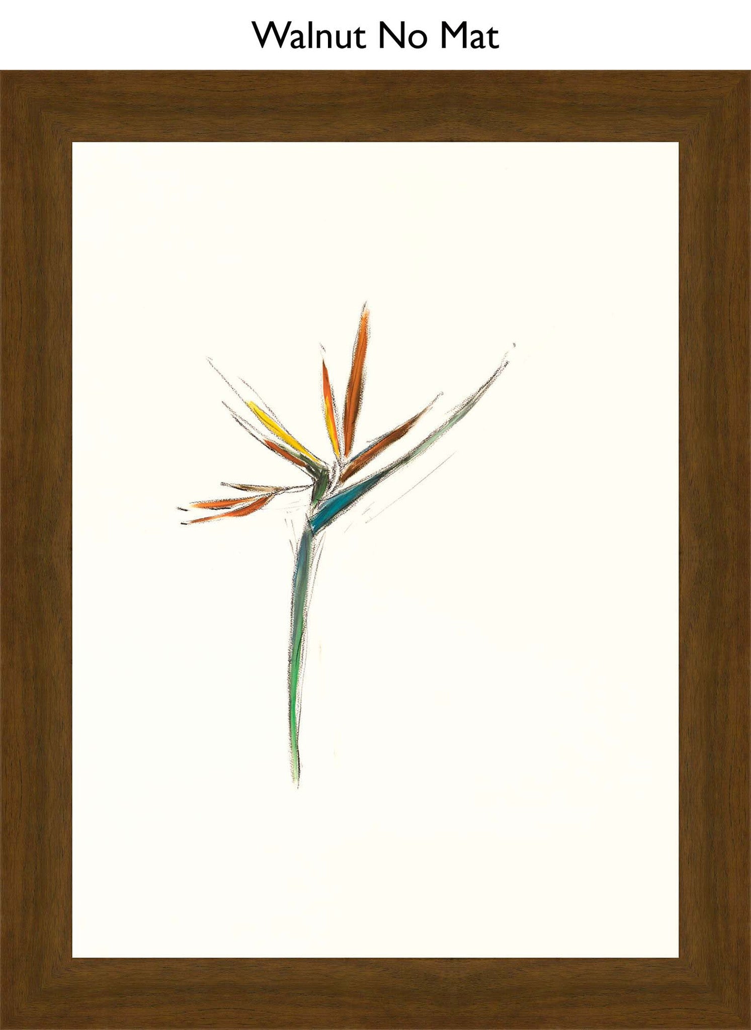 Walnut No Mat
