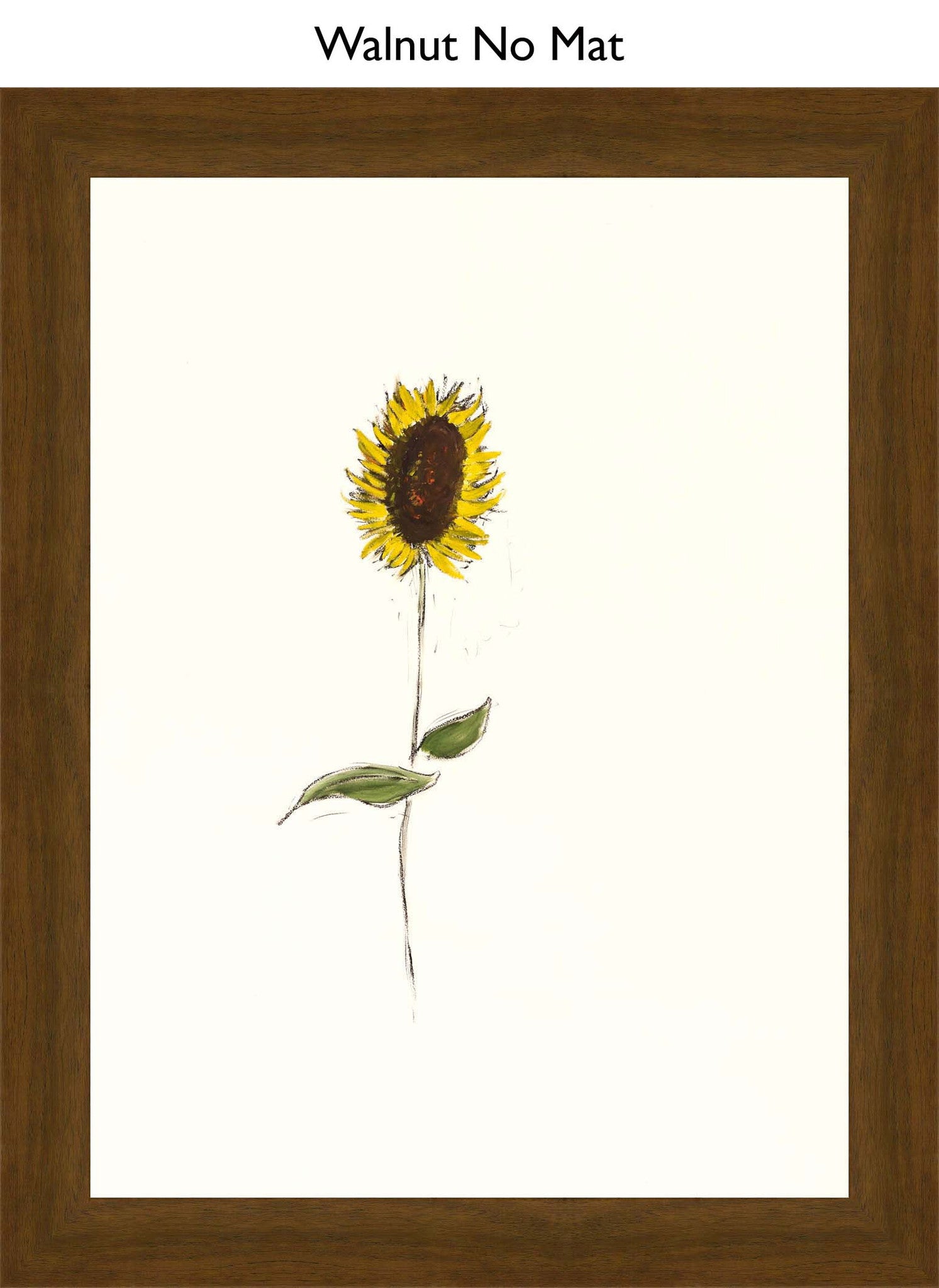 Walnut No Mat