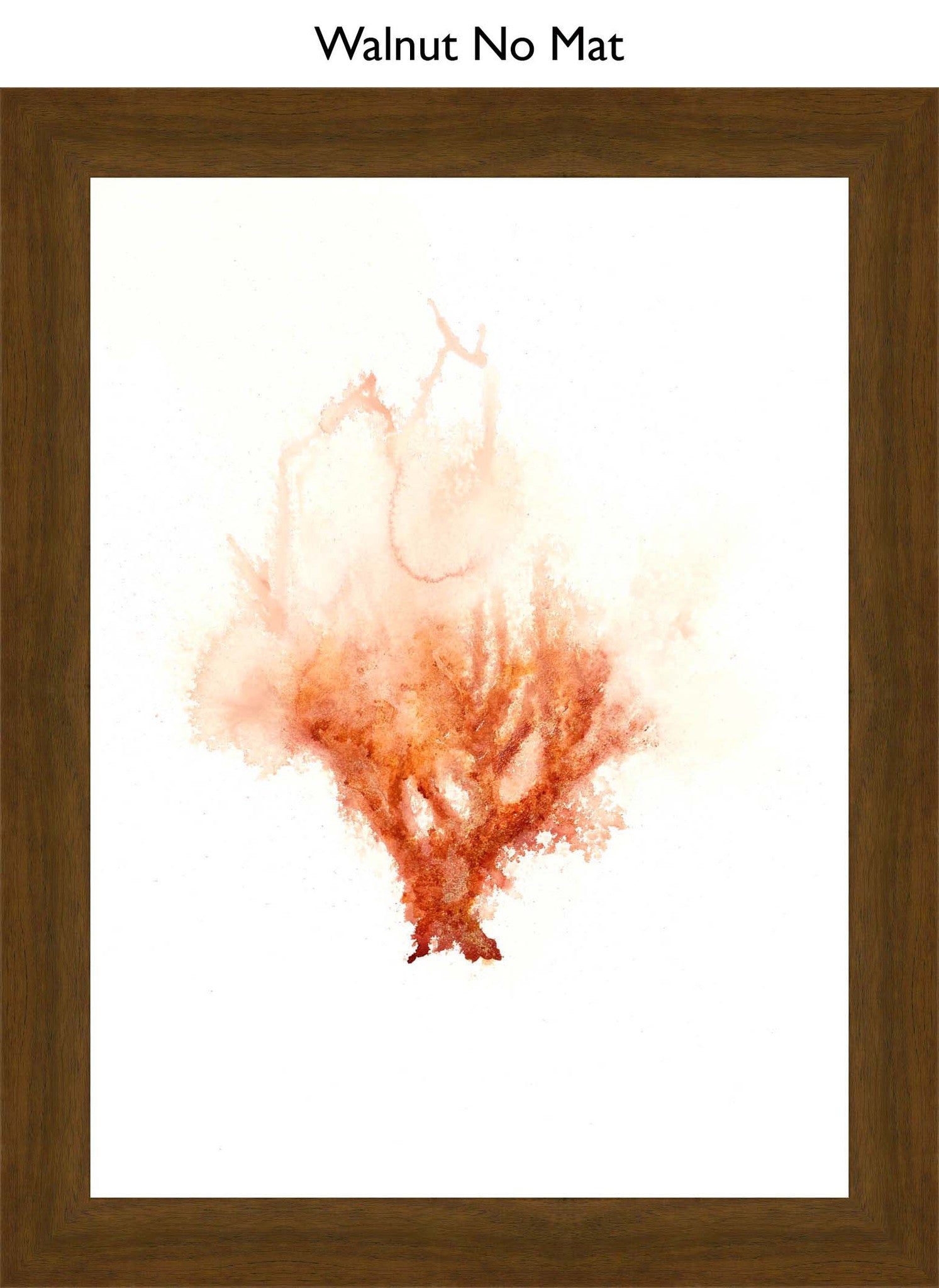 Walnut No Mat