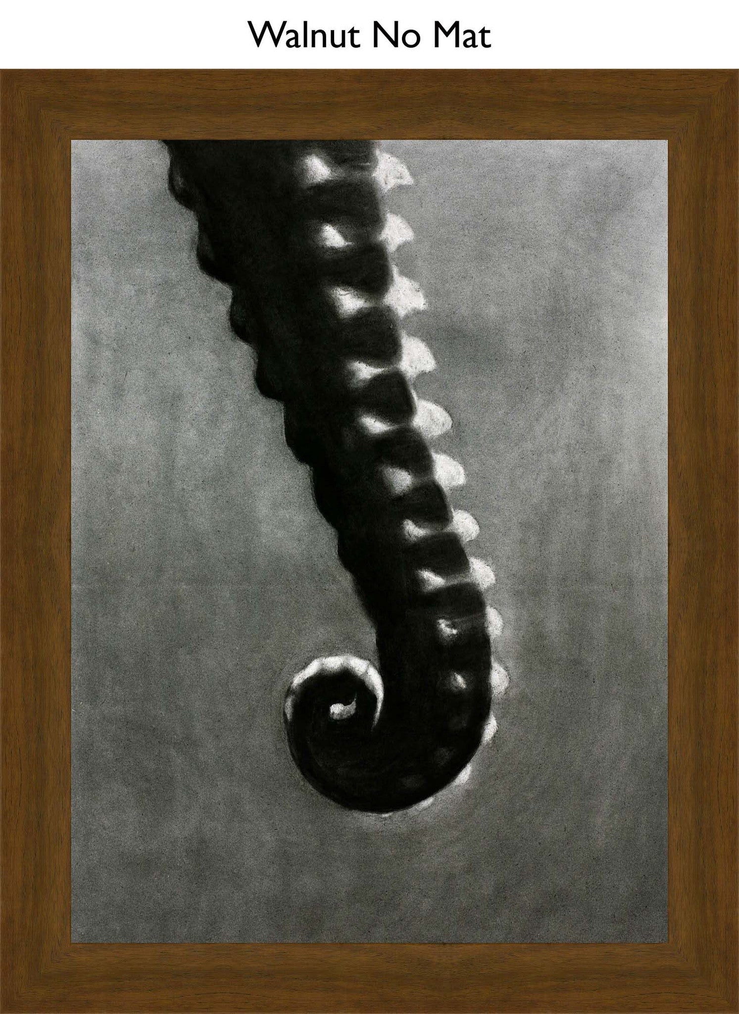 Walnut No Mat