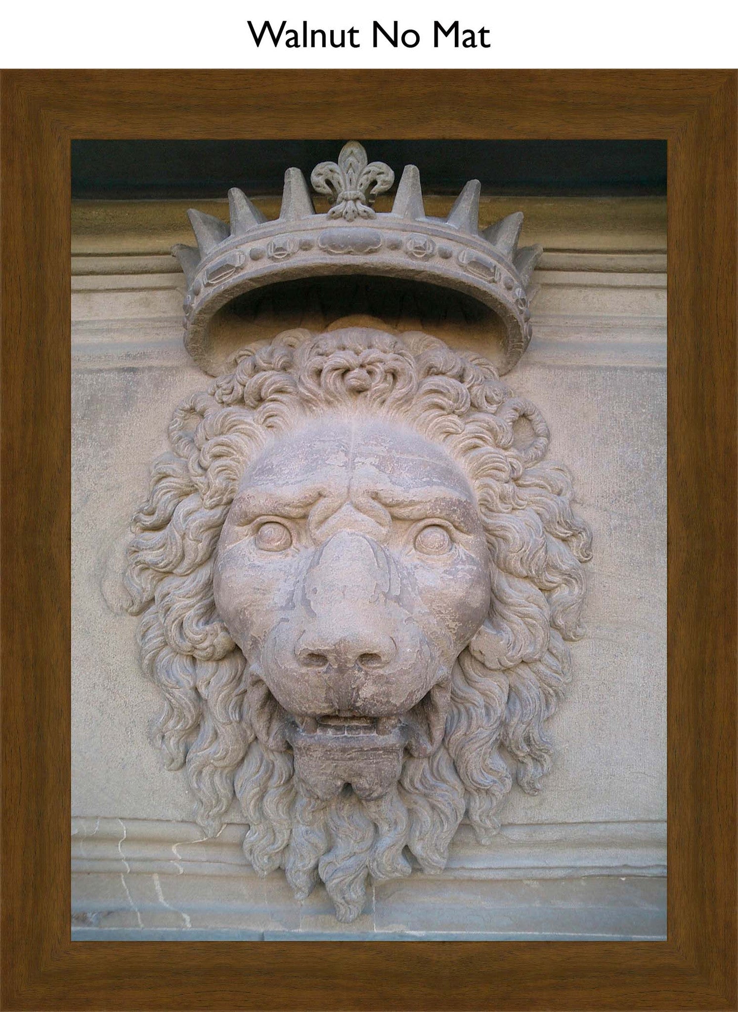 Walnut No Mat
