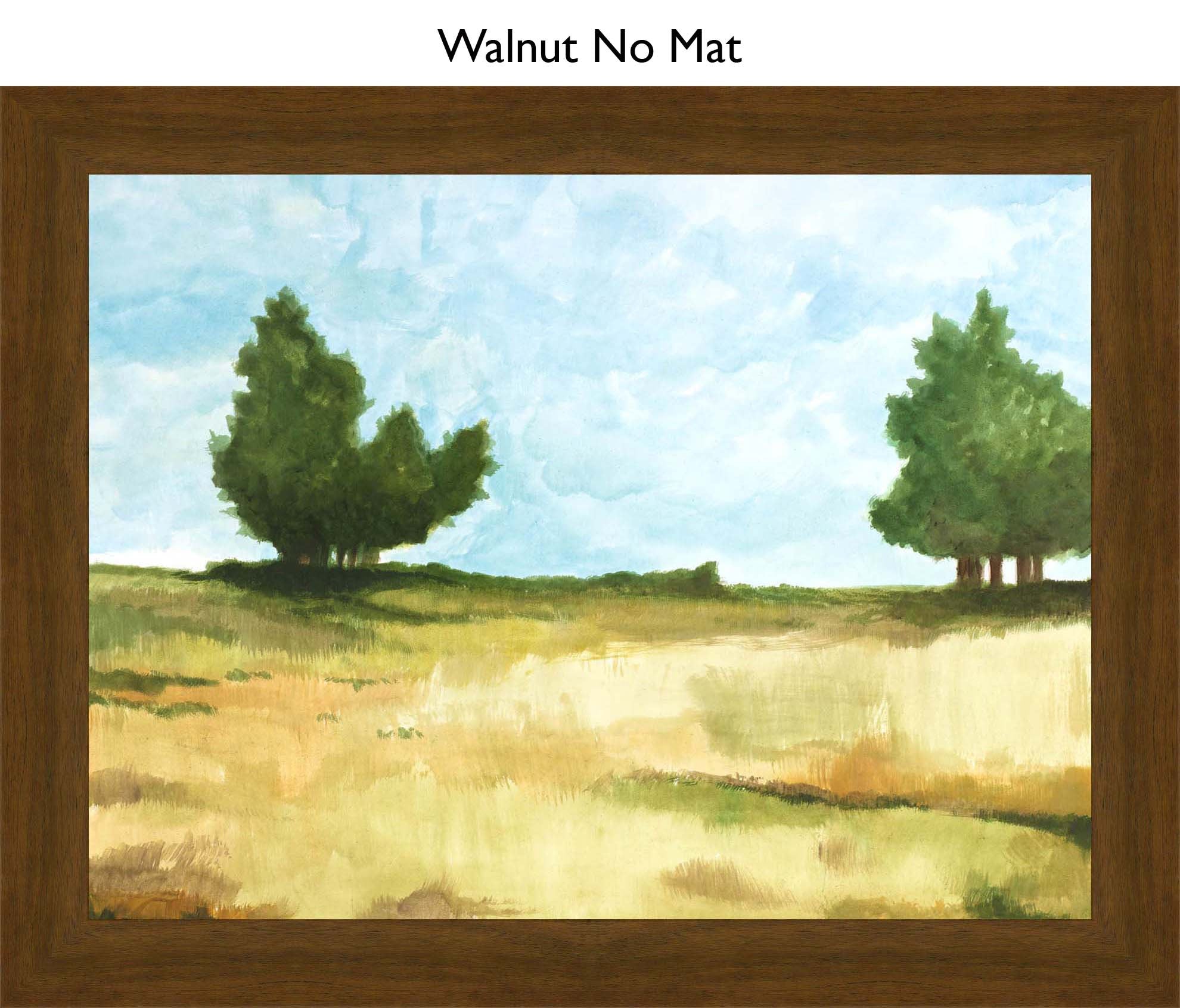 Walnut No Mat