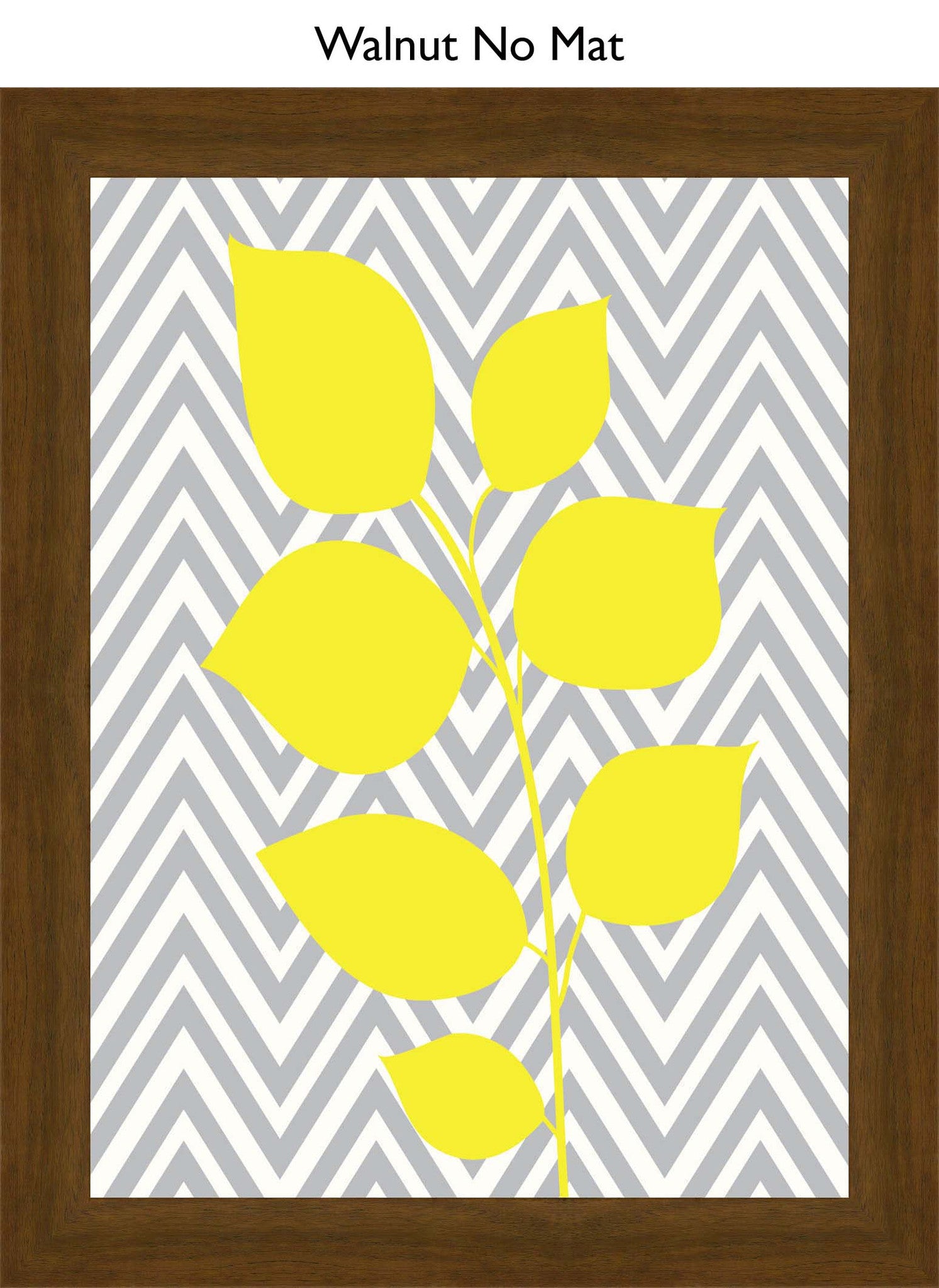 Walnut No Mat