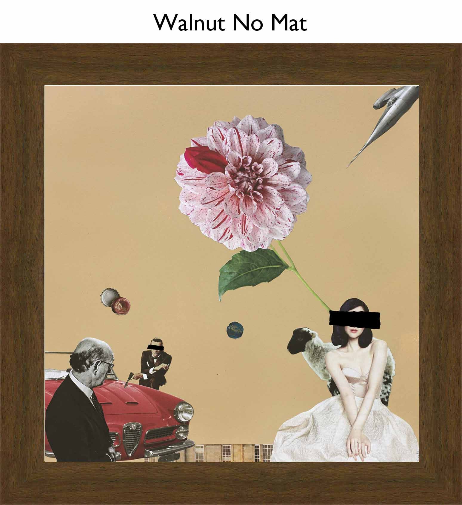 Walnut No Mat