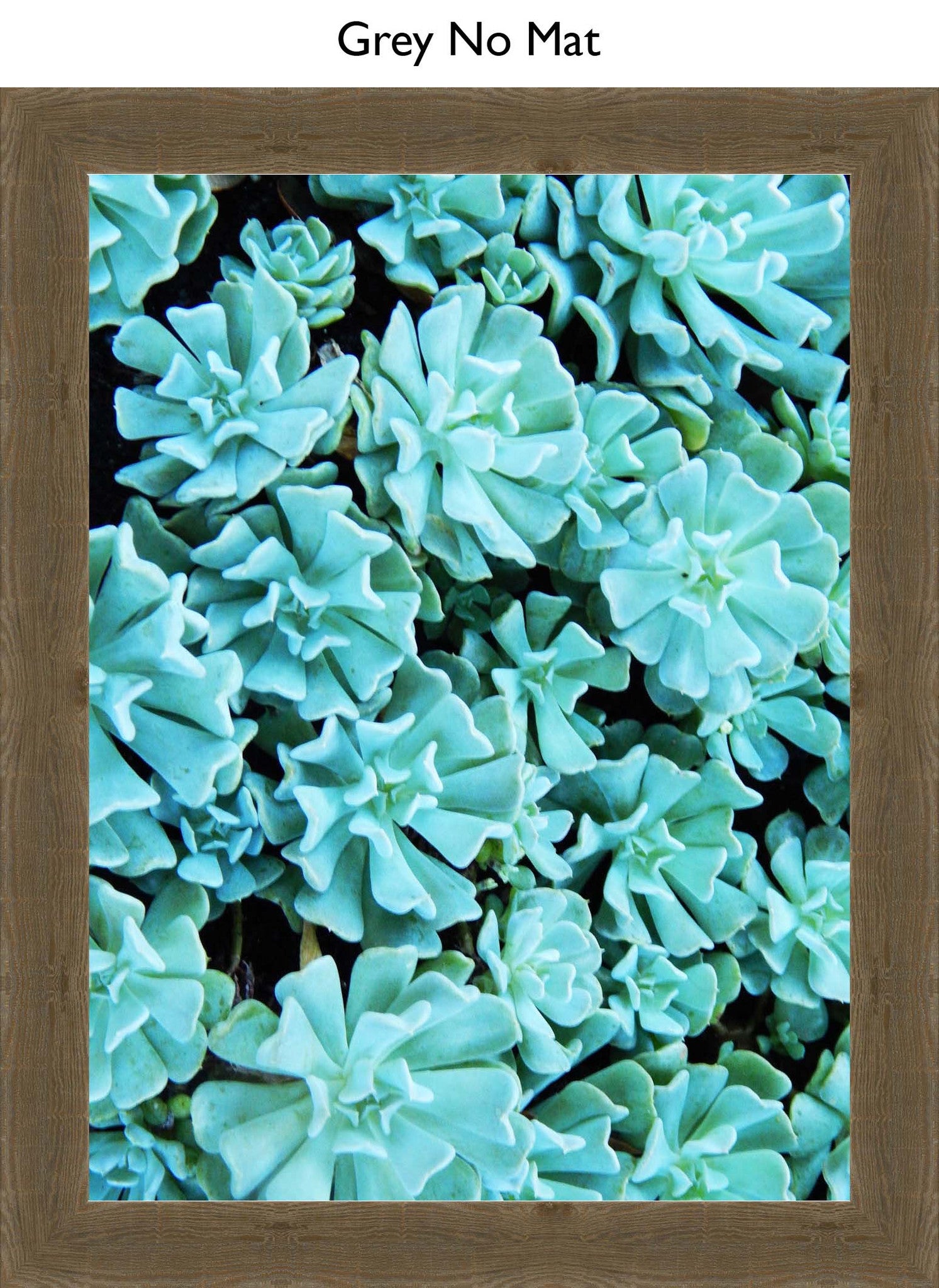 Grey No Mat