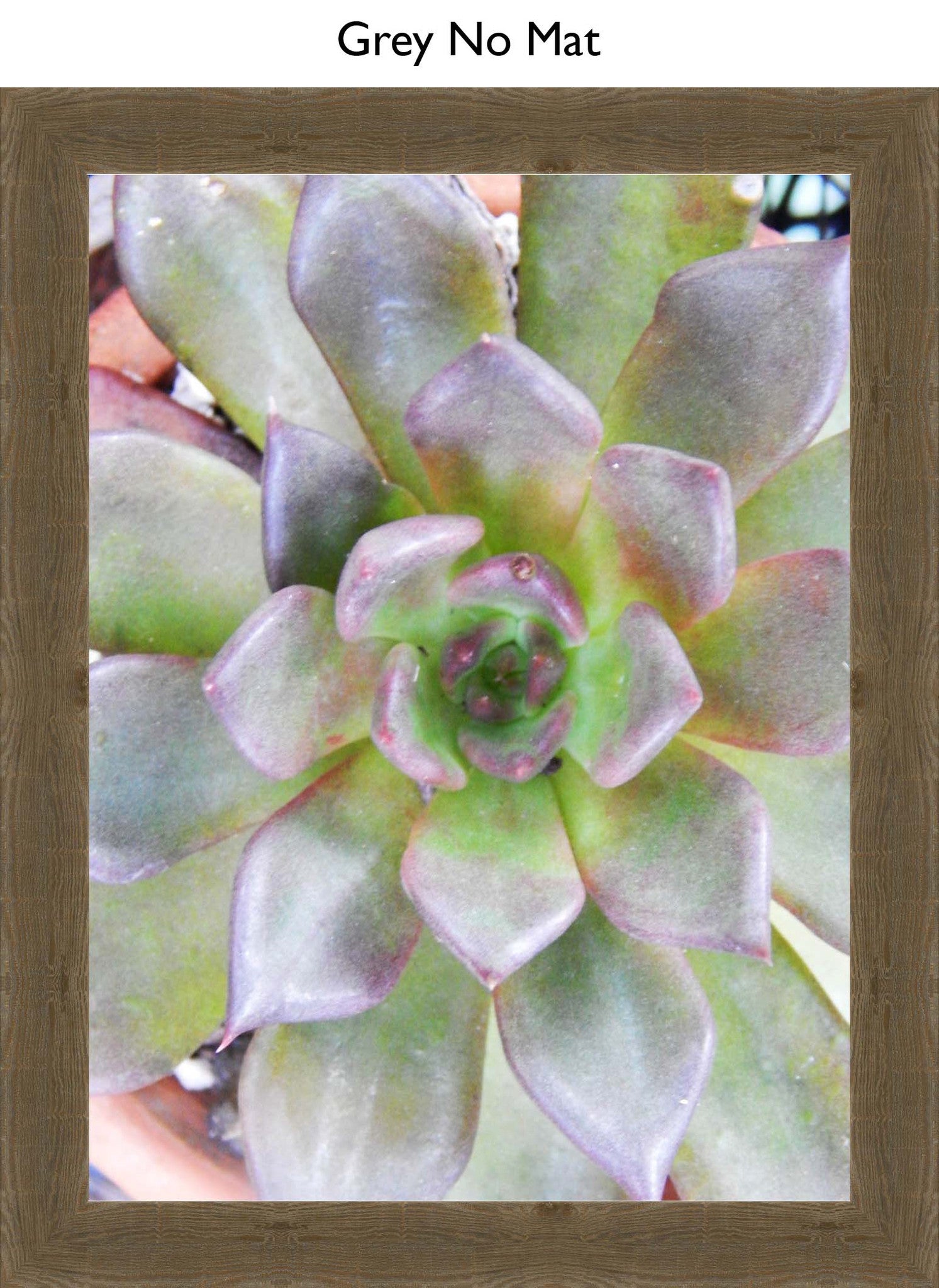 Grey No Mat