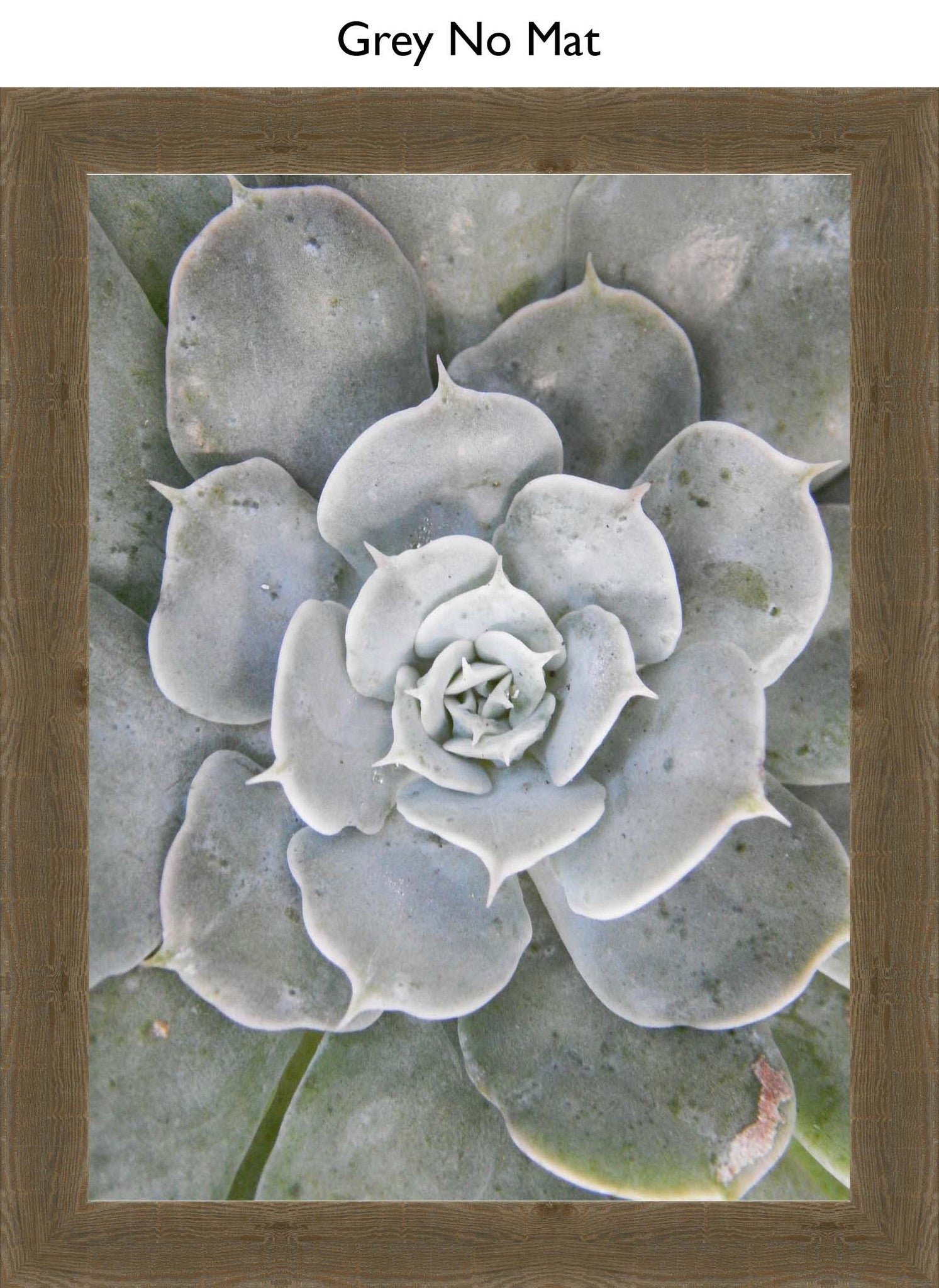 Grey No Mat